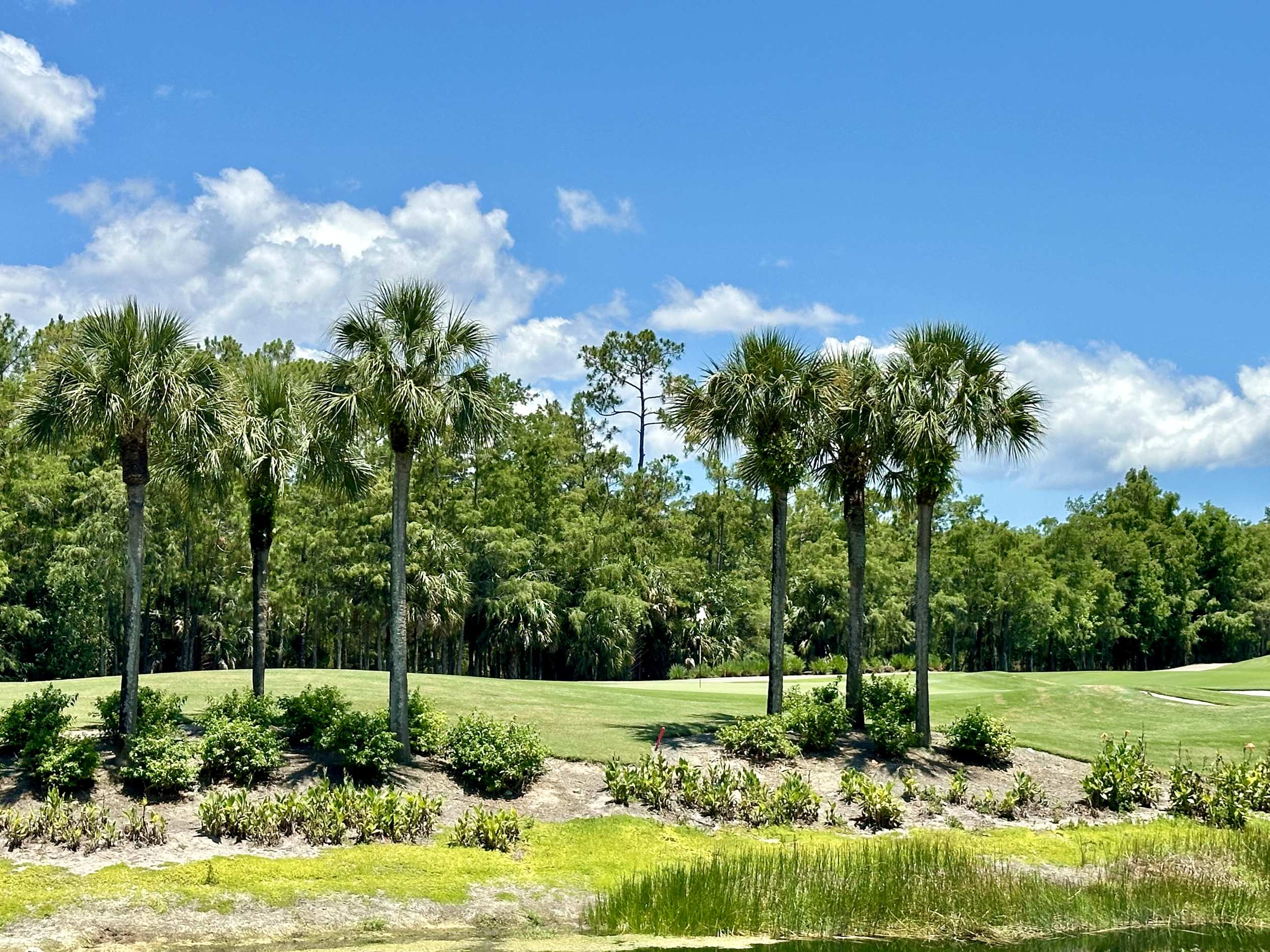 Naples Private Golf Courses