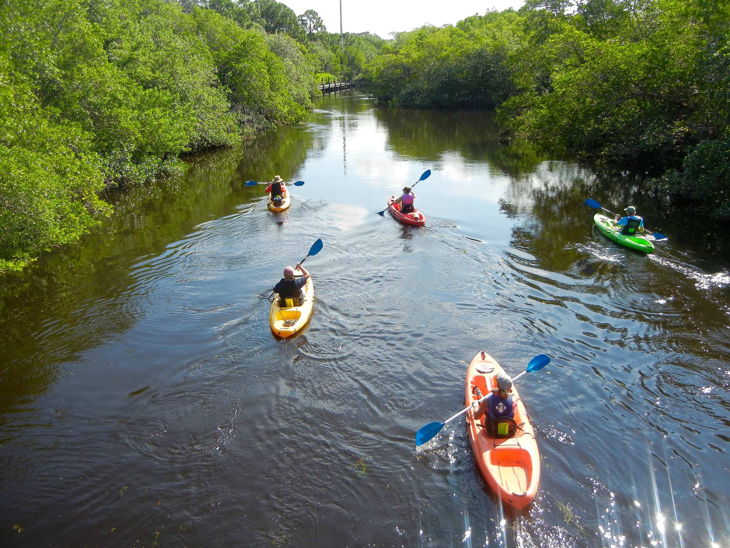 Colliers Reserve Kayaking