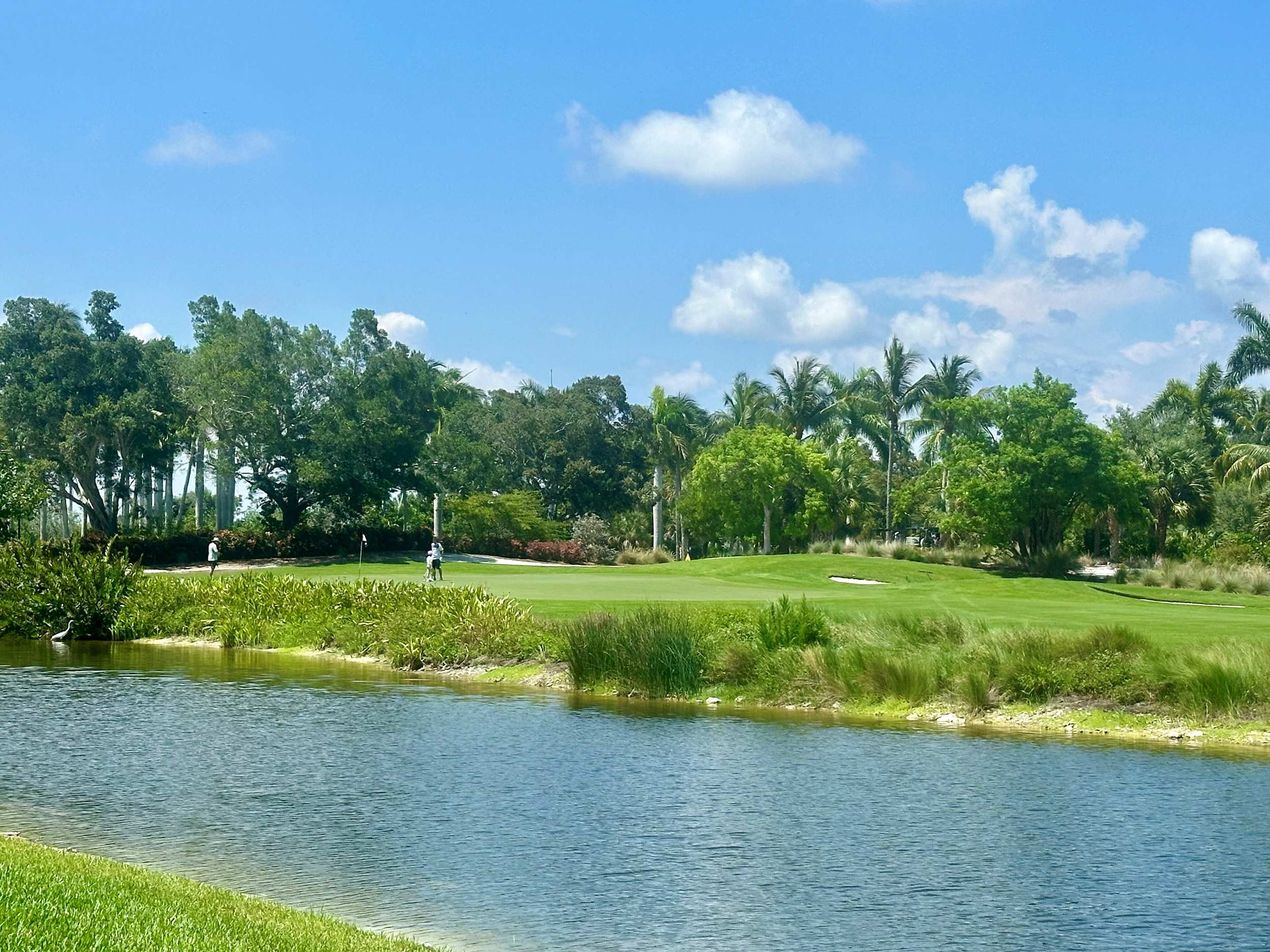 Hammock Bay Golf Club Naples florida