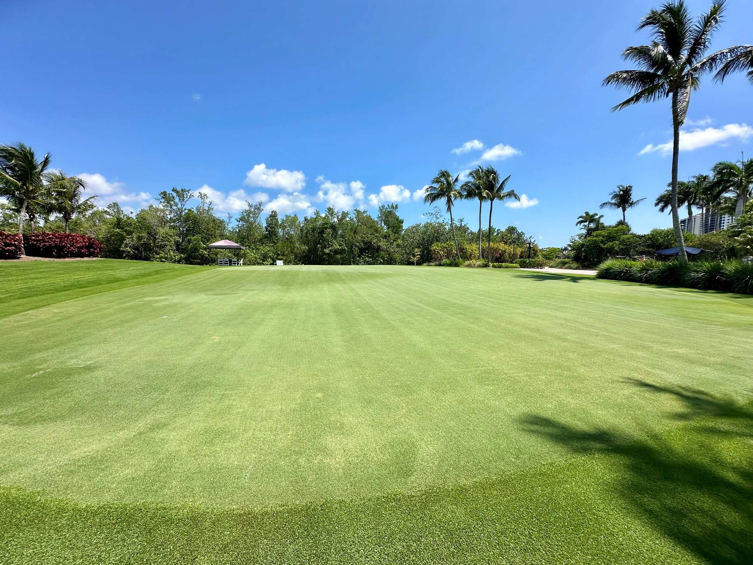 Hammock Bay Golf Naples Florida