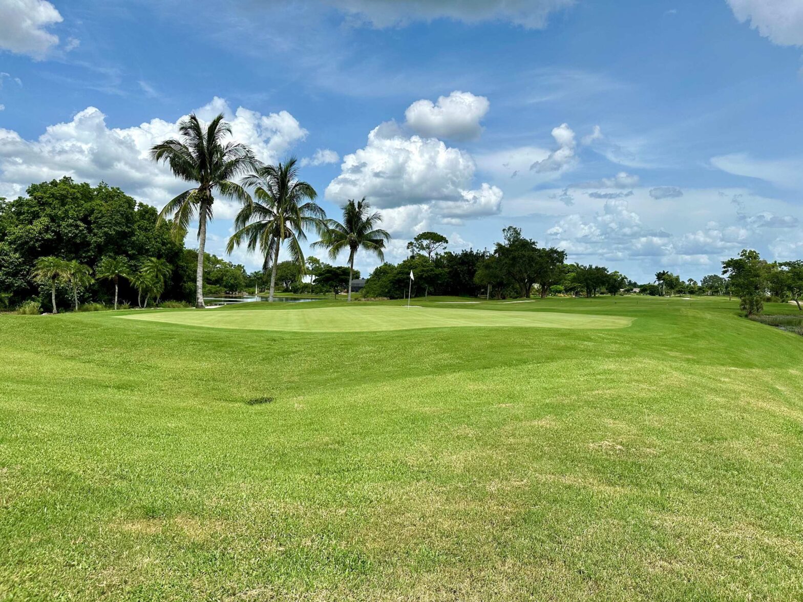 Hibiscus Golf Club Naples Golf Homes Naples Golf Guy Hibiscus Golf Club Naples Golf Homes Naples Golf Guy
