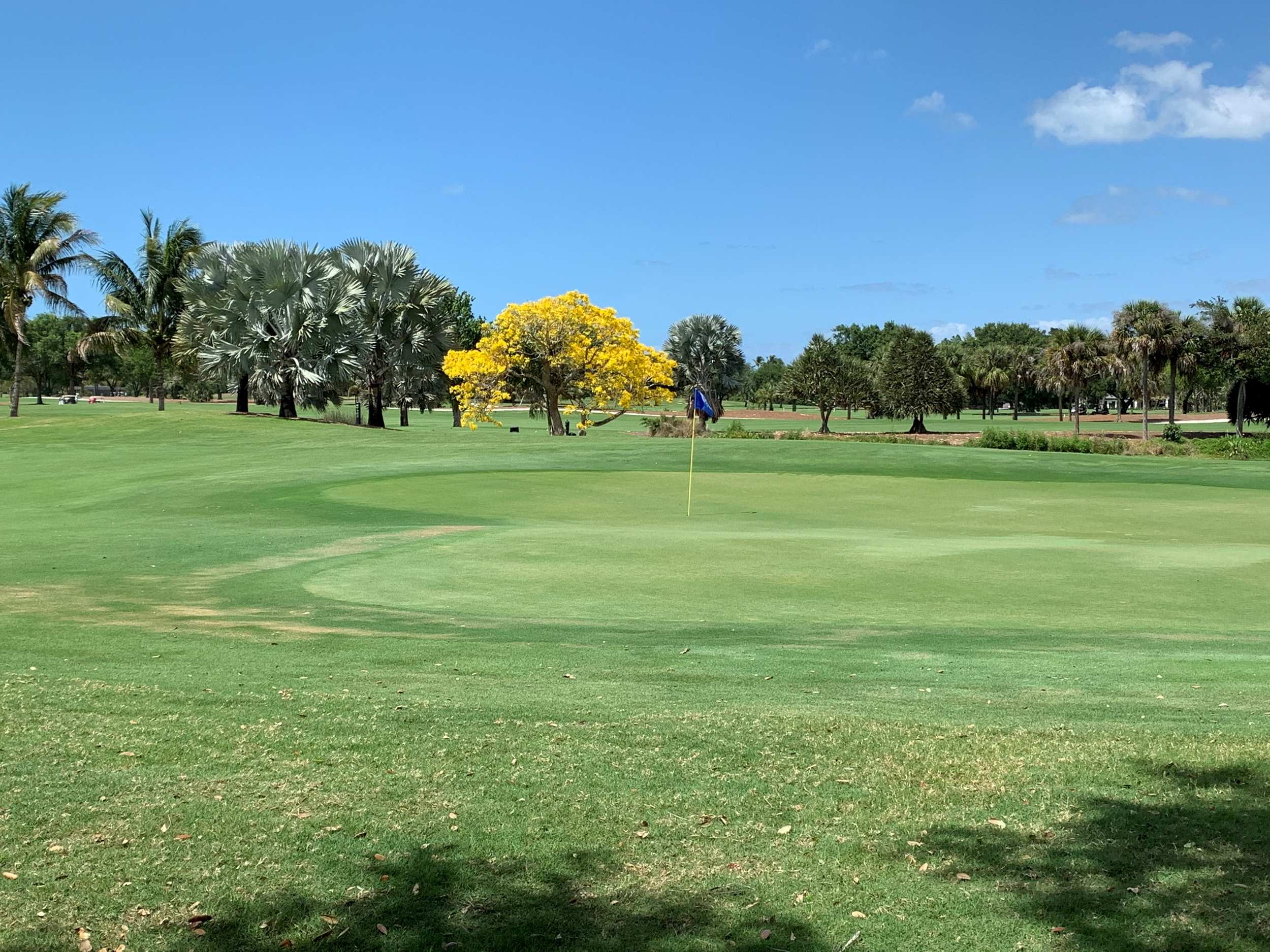 naples beach hotel golf course