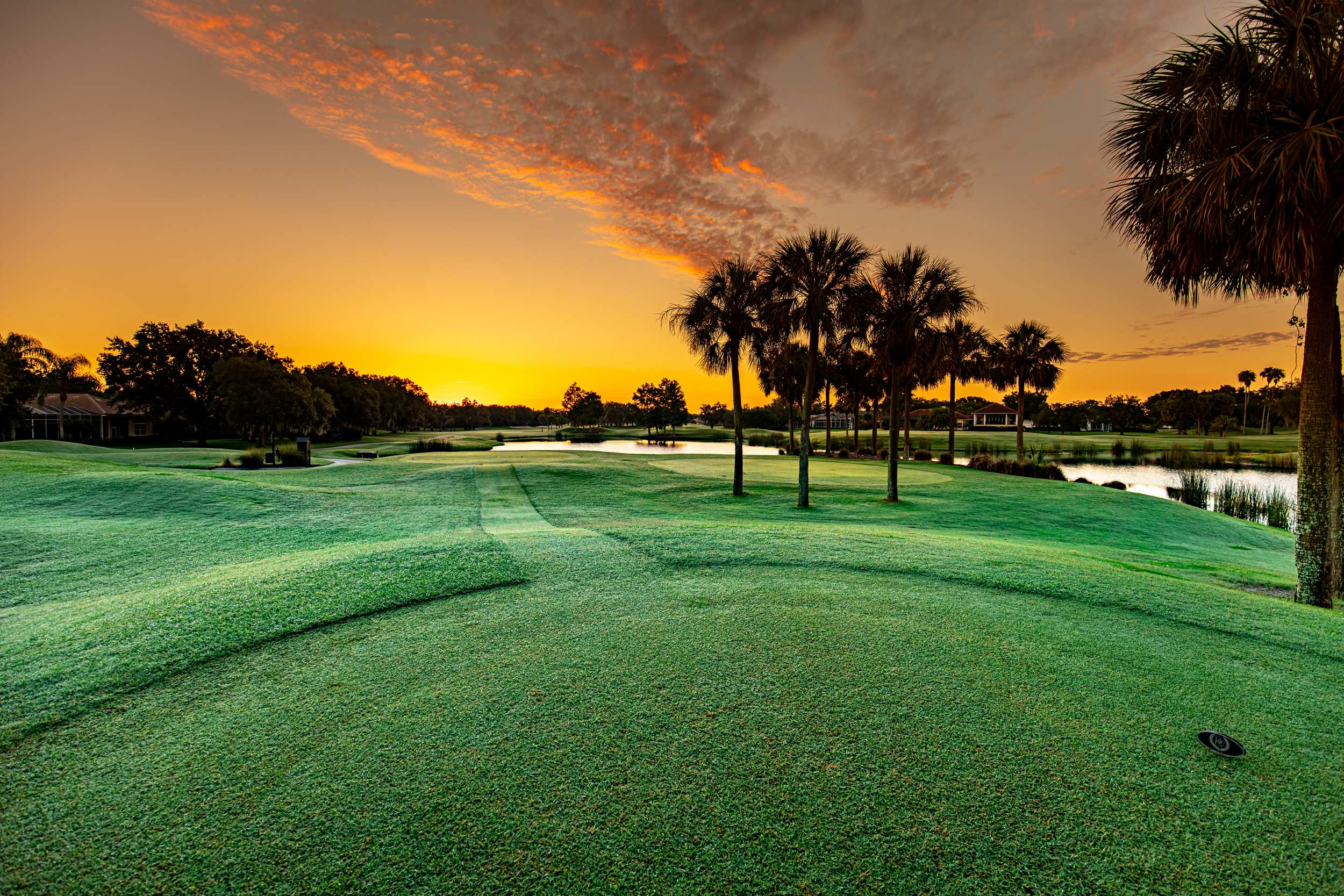 Laurel Oak Country Club Sarasota Florida