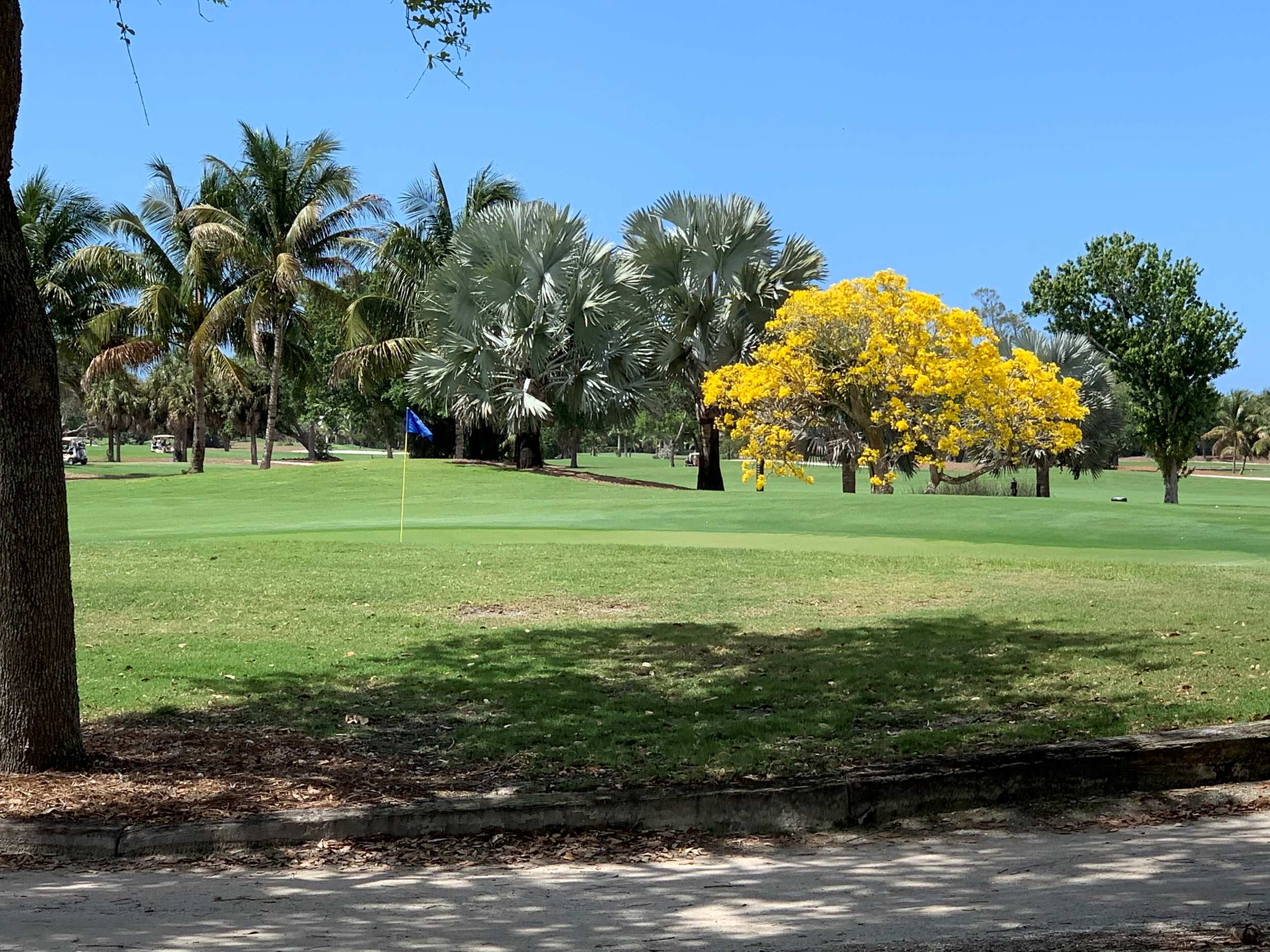 public golf courses naples florida