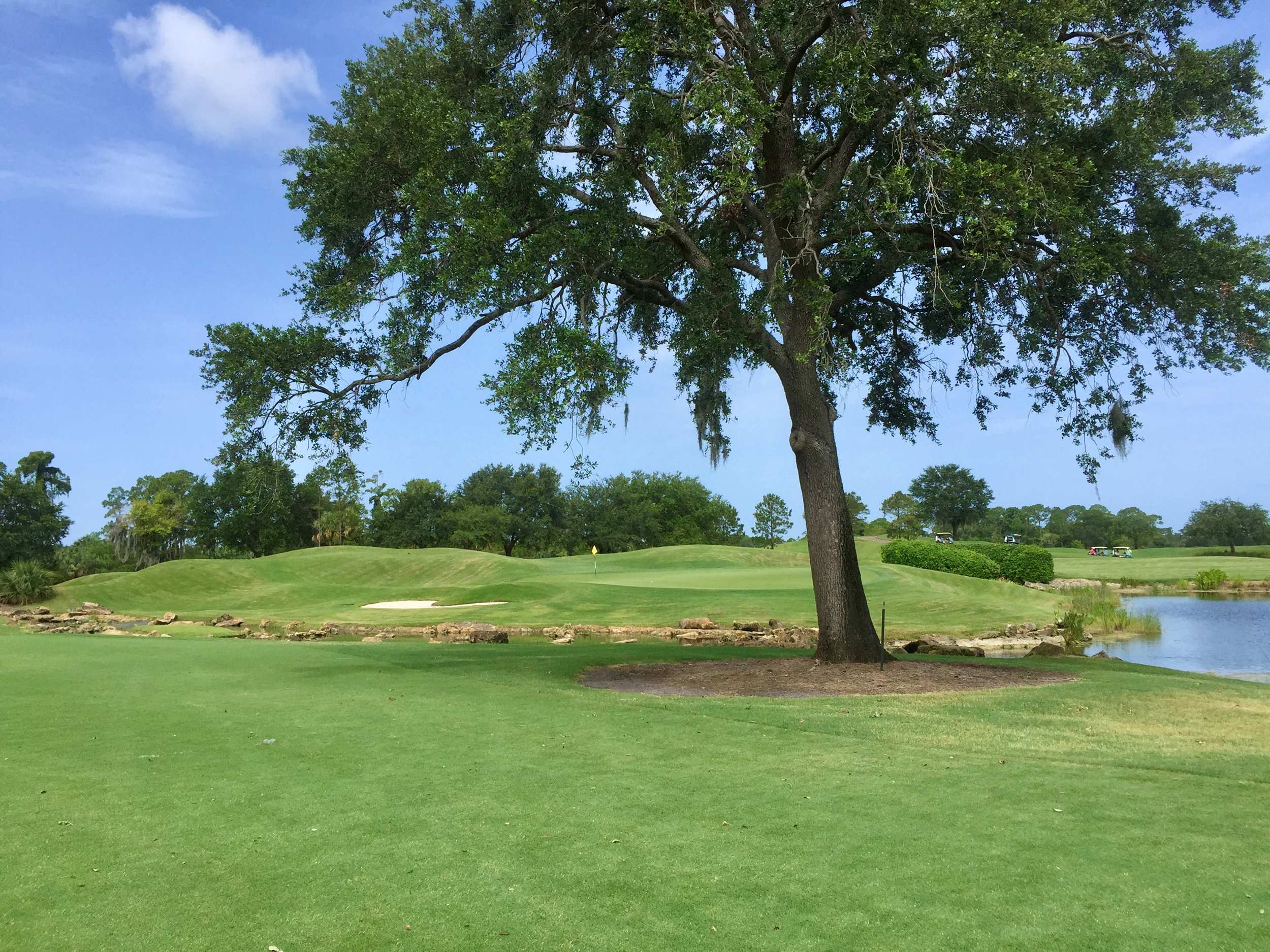 Naples Grande golf course