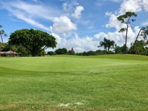 Royal Poinciana Golf Club - Naples Golf Homes Naples Golf Guy