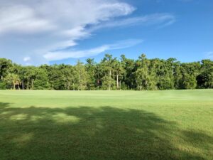 Royal Poinciana Golf Club - Naples Golf Homes Naples Golf Guy