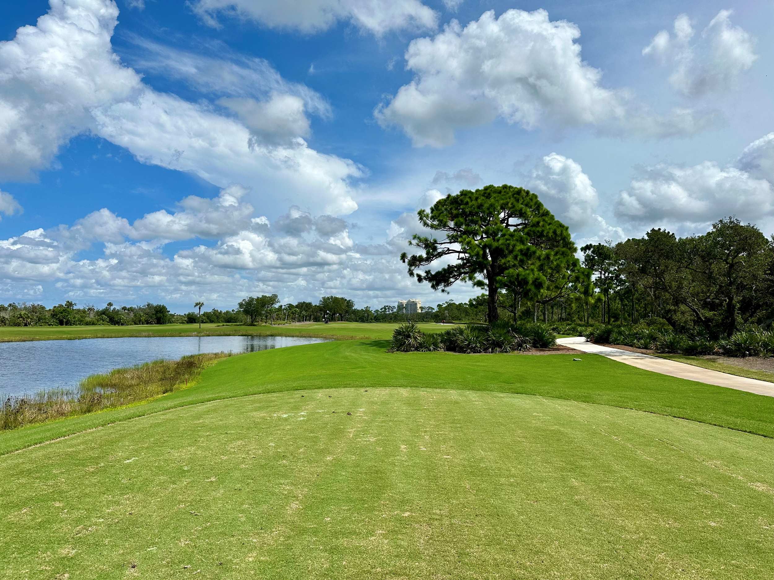 Saltleaf Bonita Springs Florida