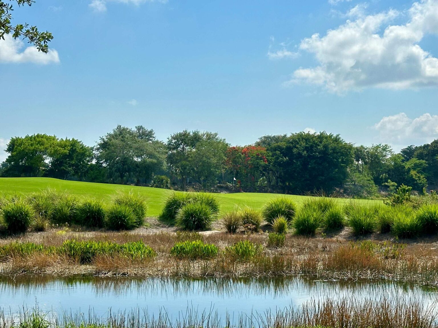 Rookery Golf Club Naples Golf Homes Naples Golf Guy