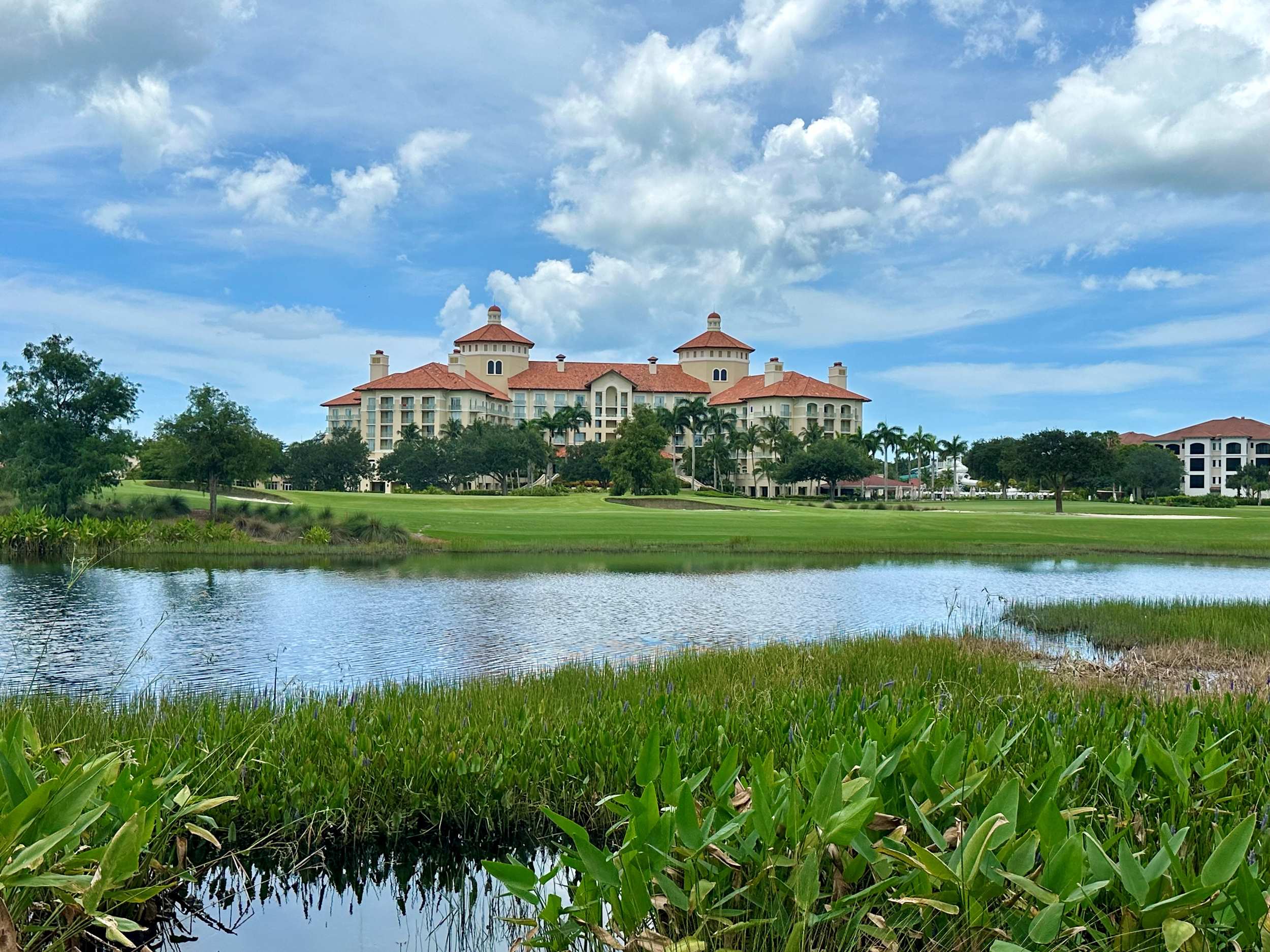 Tiburon golf club