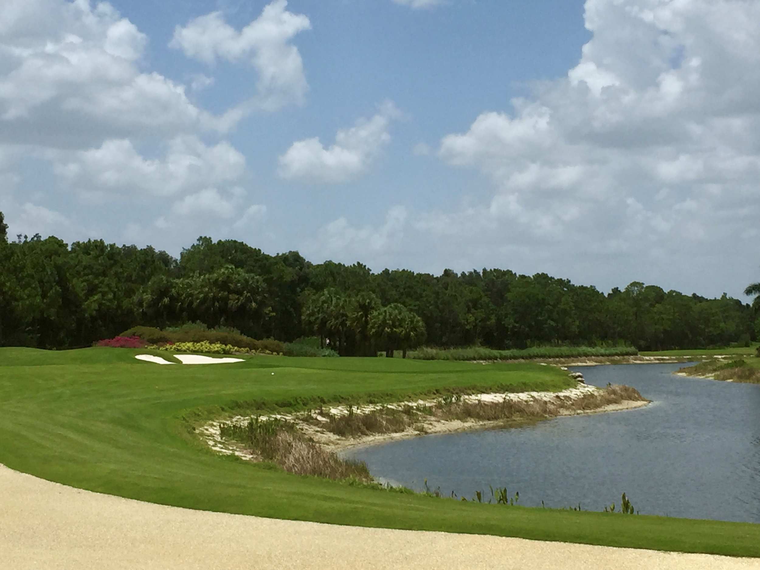 Spring Run Estero Florida