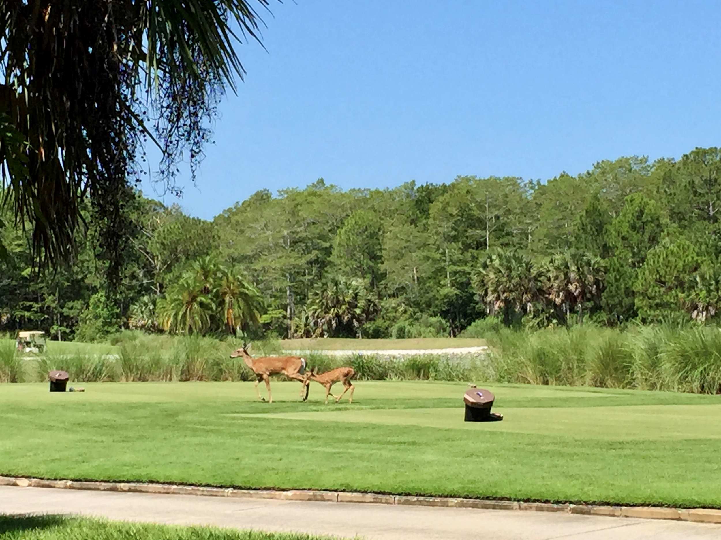 The Quarry Country Club