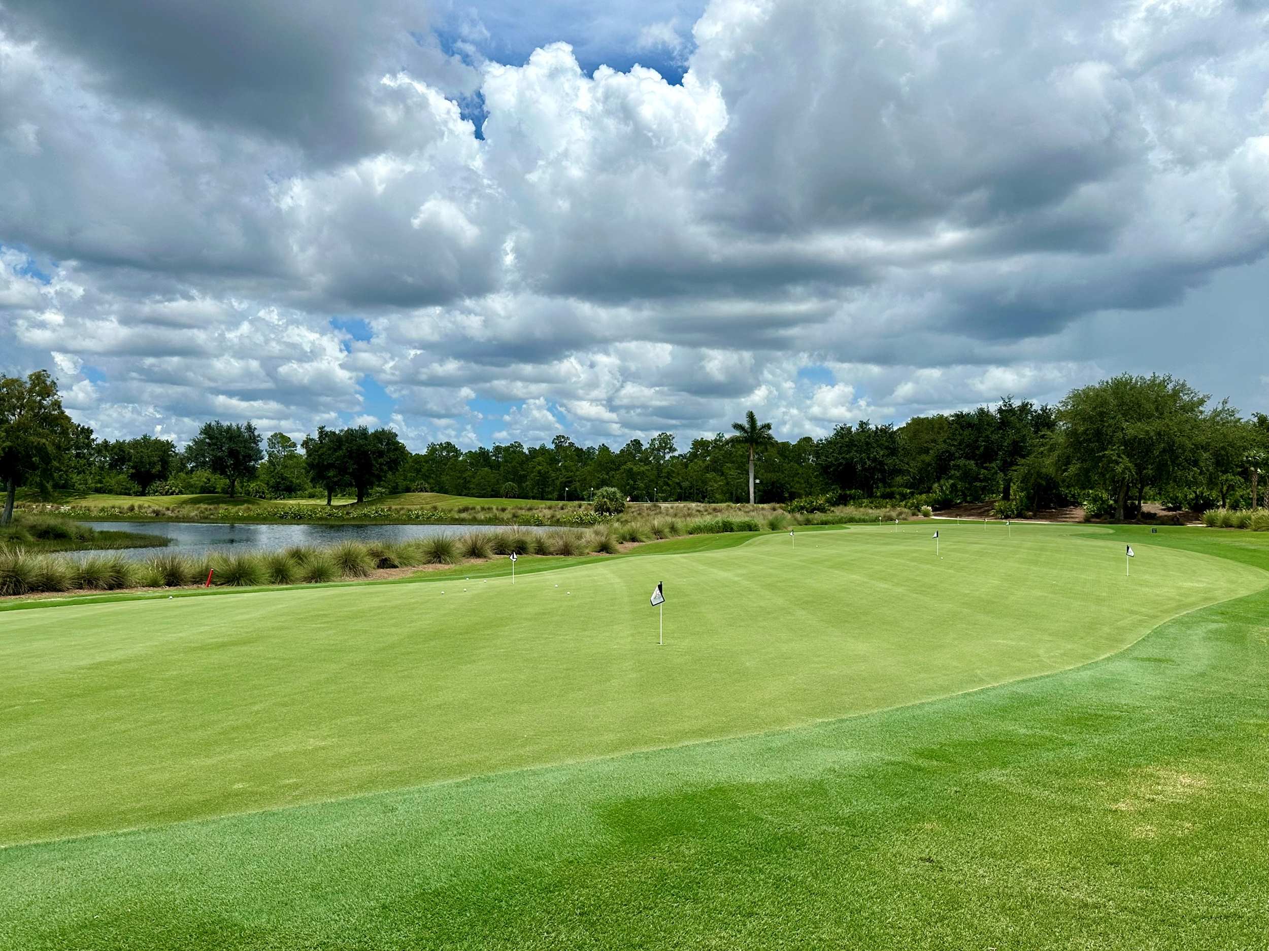 Tiburon practice facilities