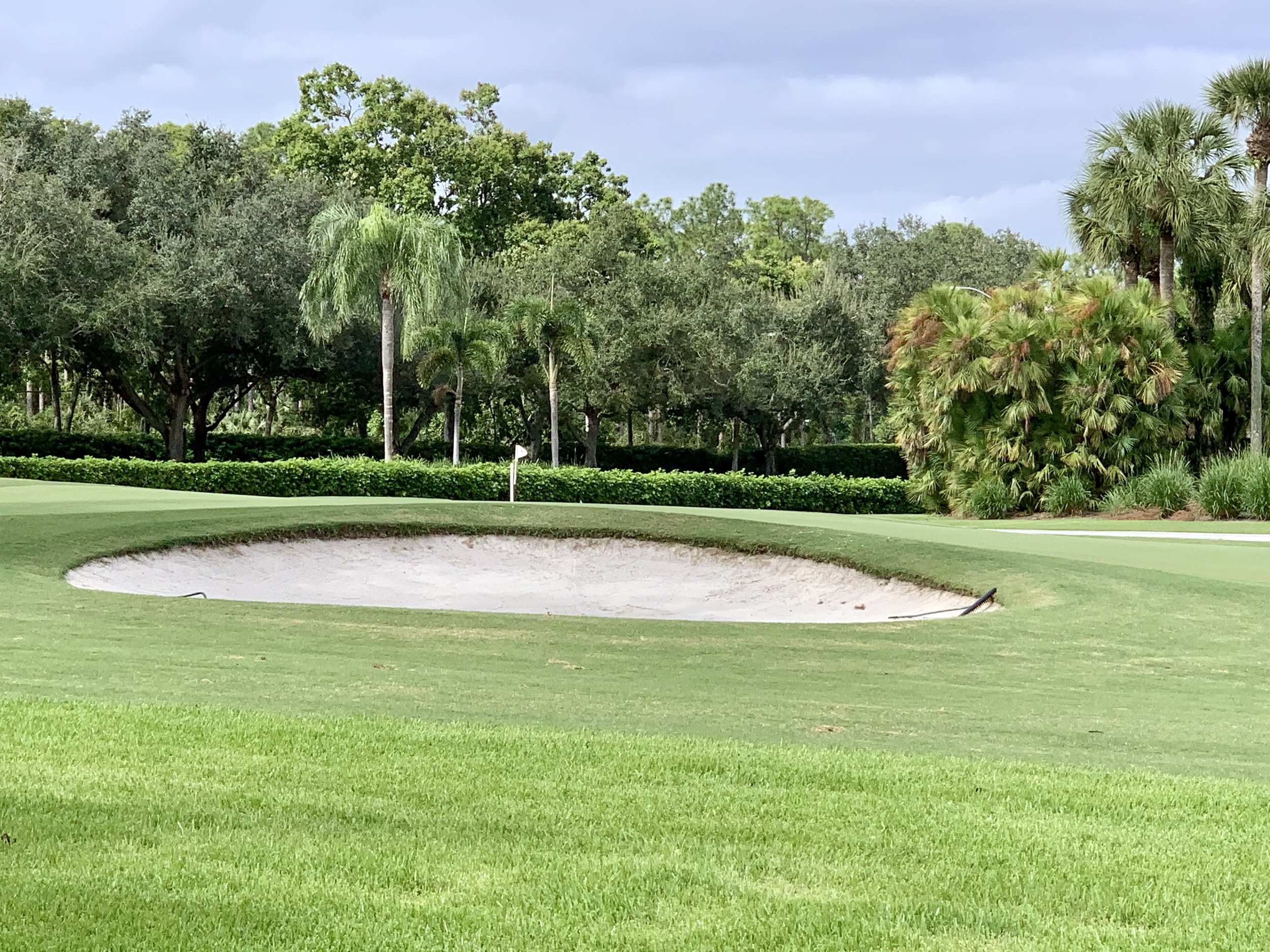 vineyards country club naples fl