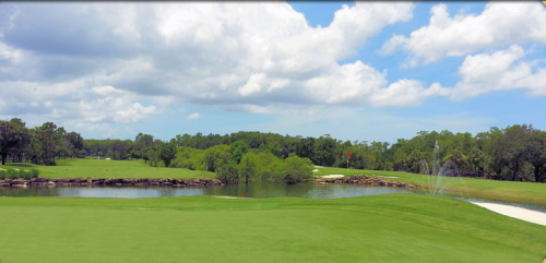 Cypress Woods - Naples Golf Homes | Naples Golf Guy