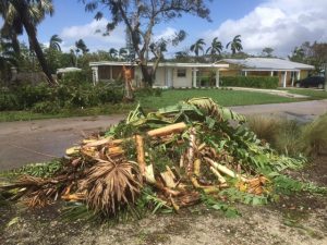 Hurricane Irma Recovery
