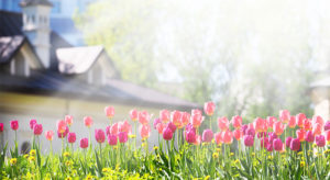 Spring Real Estate Market