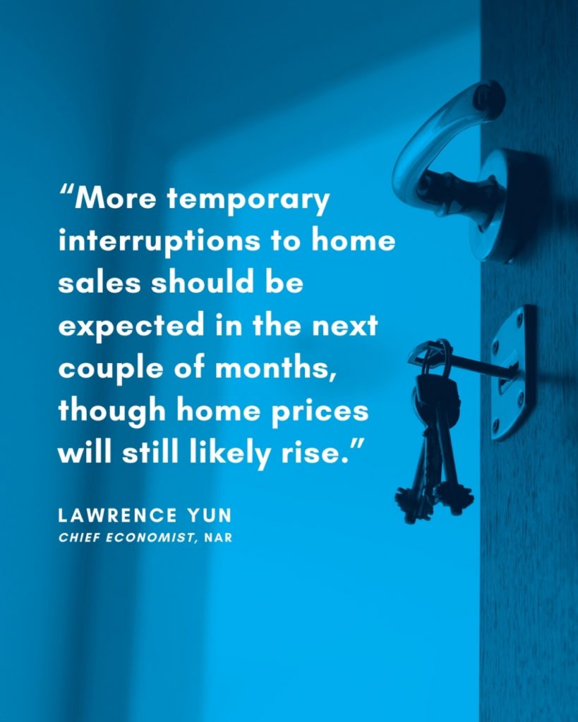 Housing market expert insights