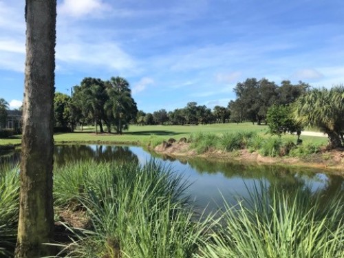 Country Club of Naples - Naples Golf Homes | Naples Golf Guy