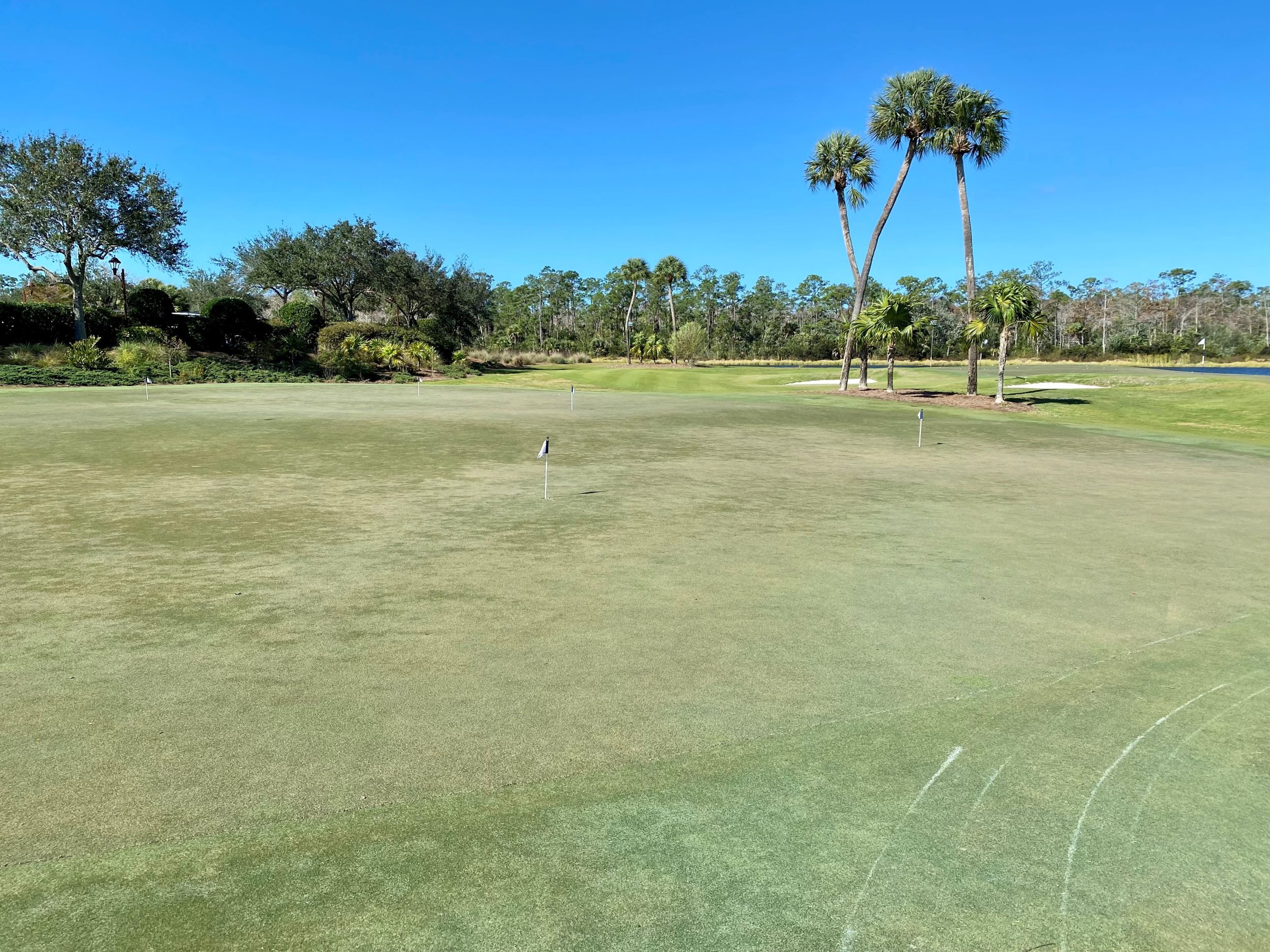 southwest florida golf