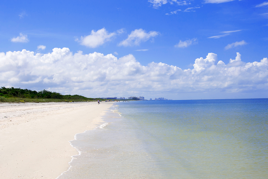 Barefoot Beach