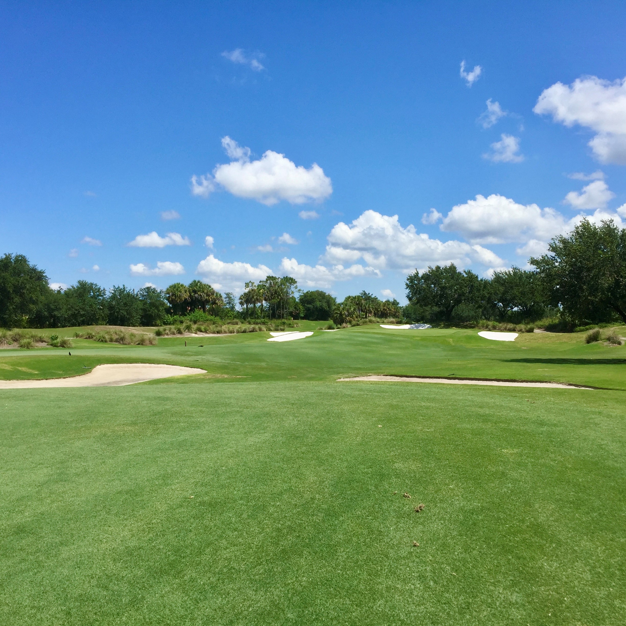 golf courses at Bonita Bay East