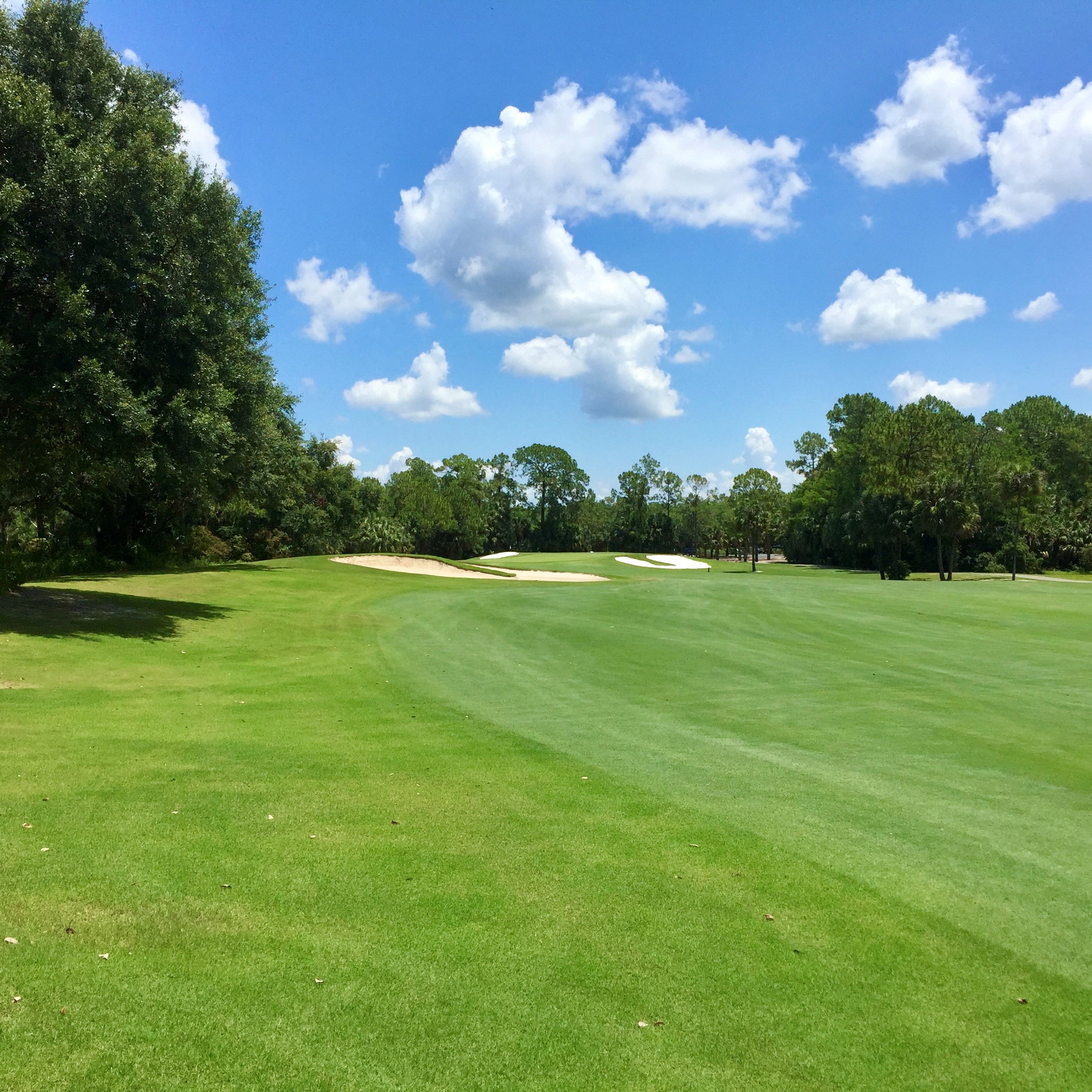 southwest florida golf courses