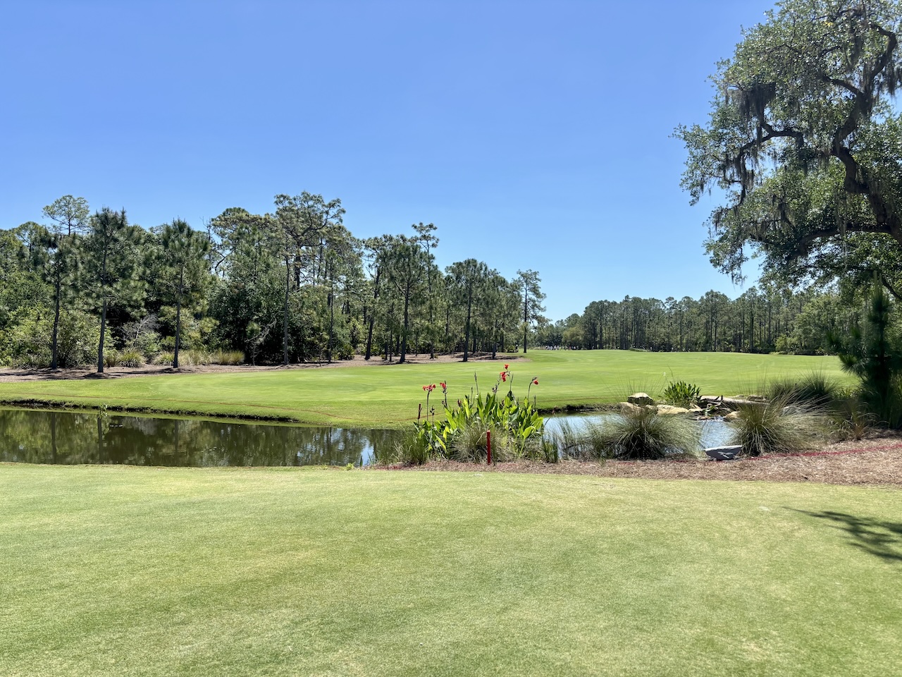 Luxury golf sarasota
