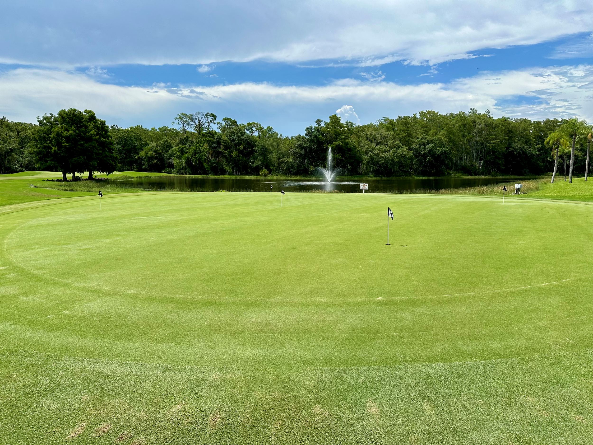 putting green