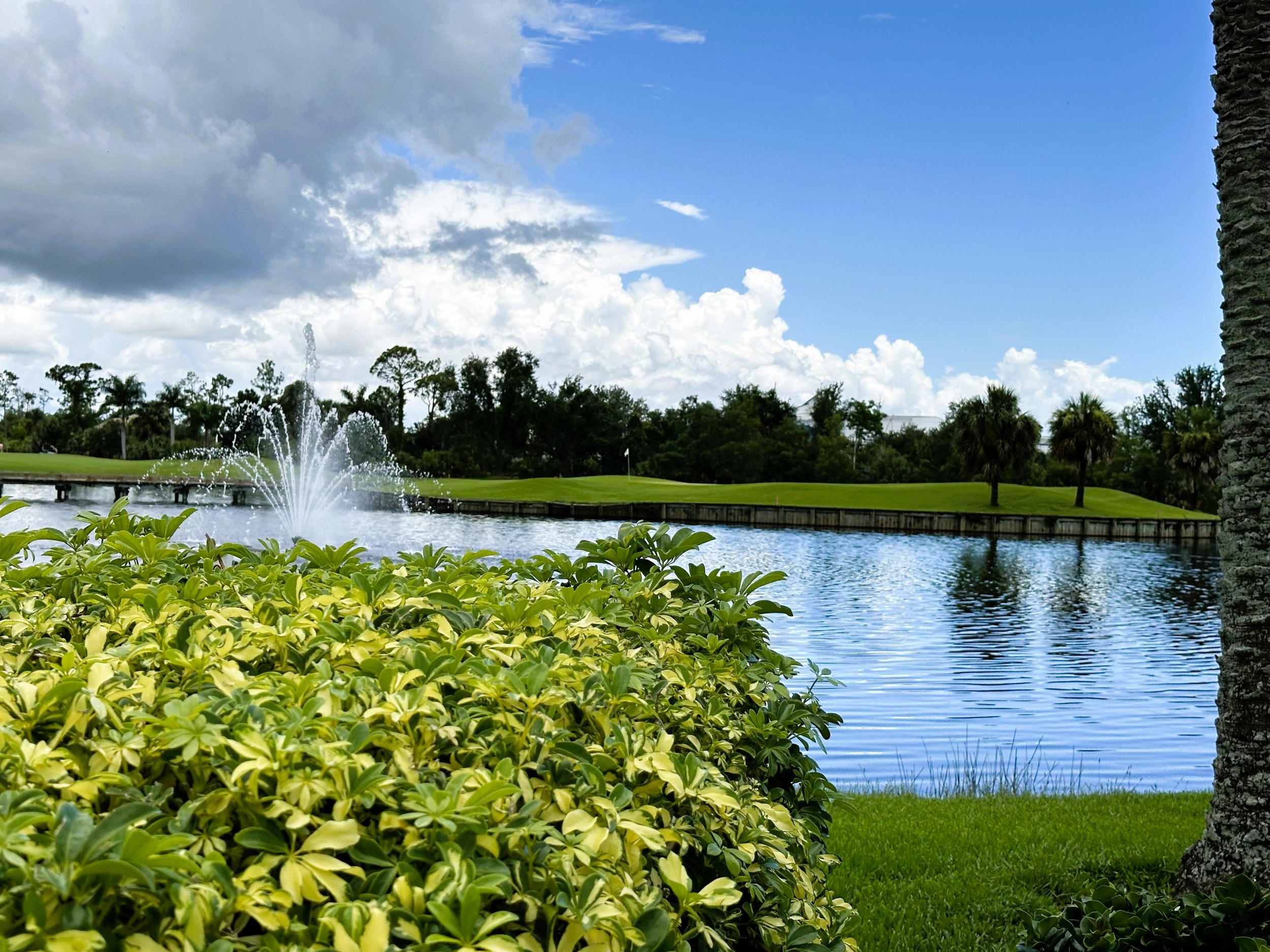 Crown Colony Country Club Ft Myers