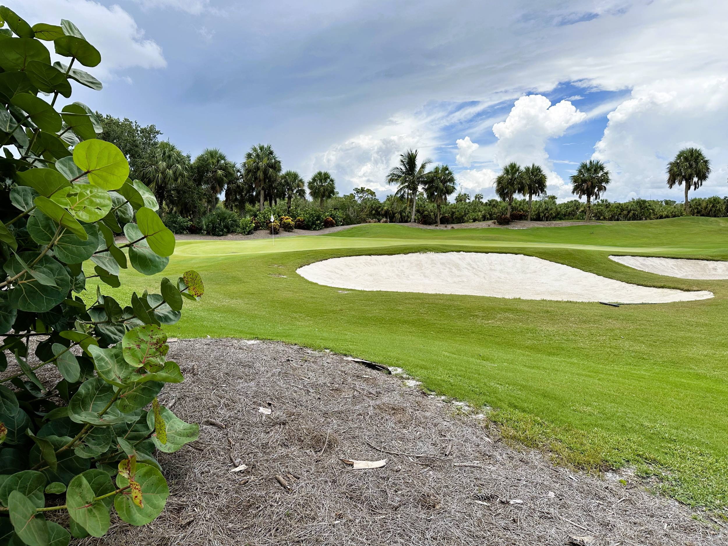 Crown Colony Golf Club Ft Myers