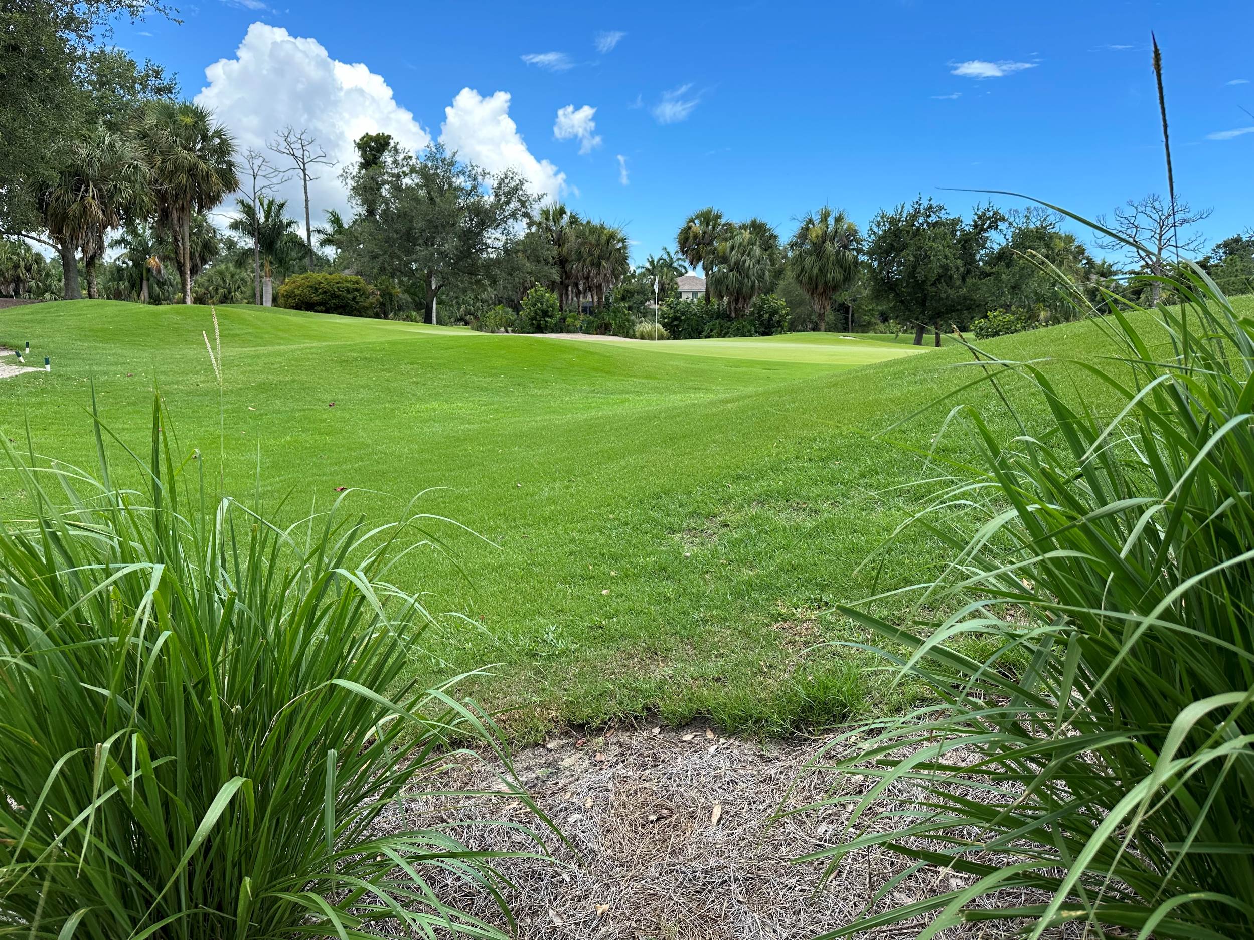 Crown Colony Golf Club