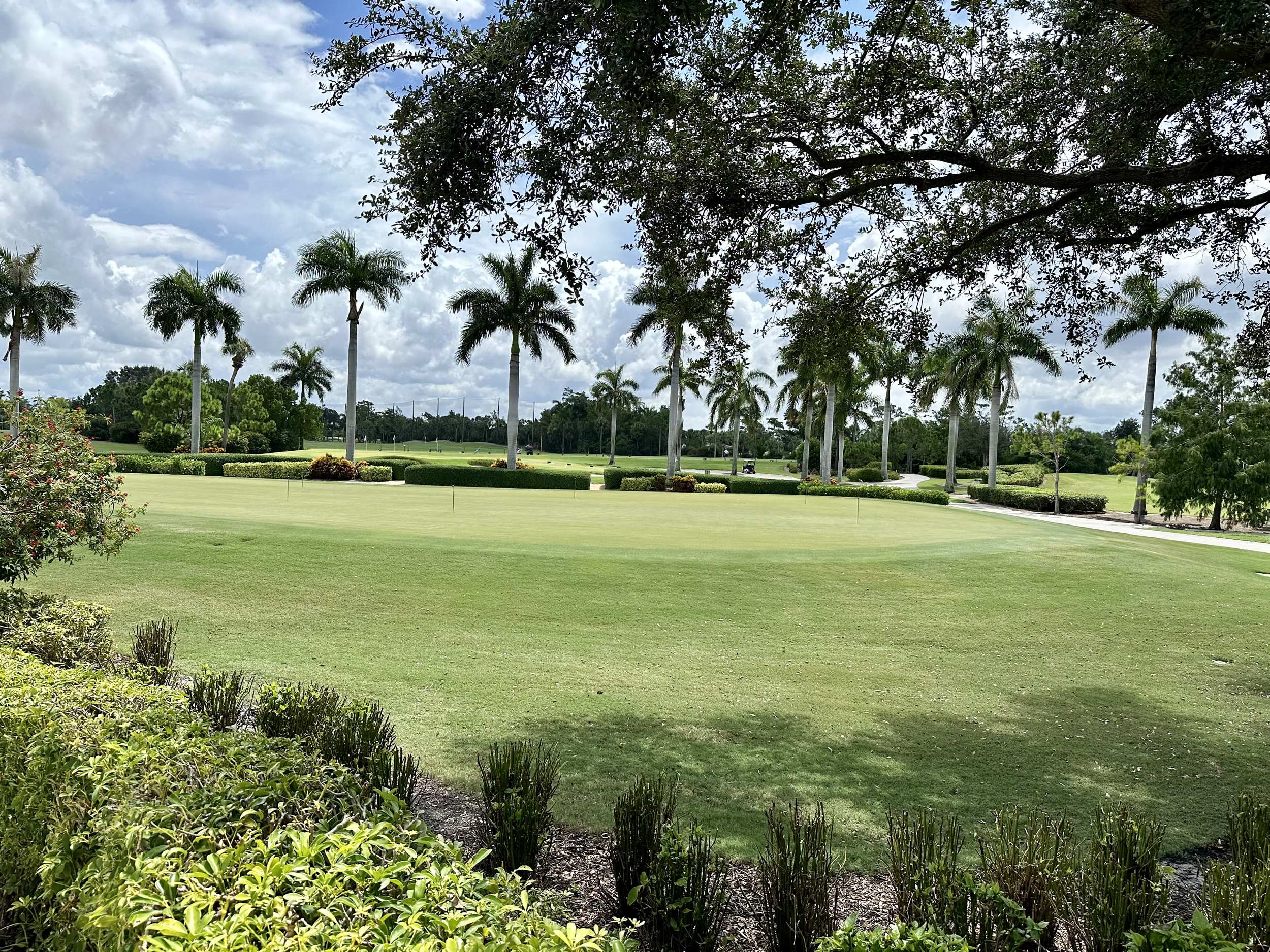 putting green