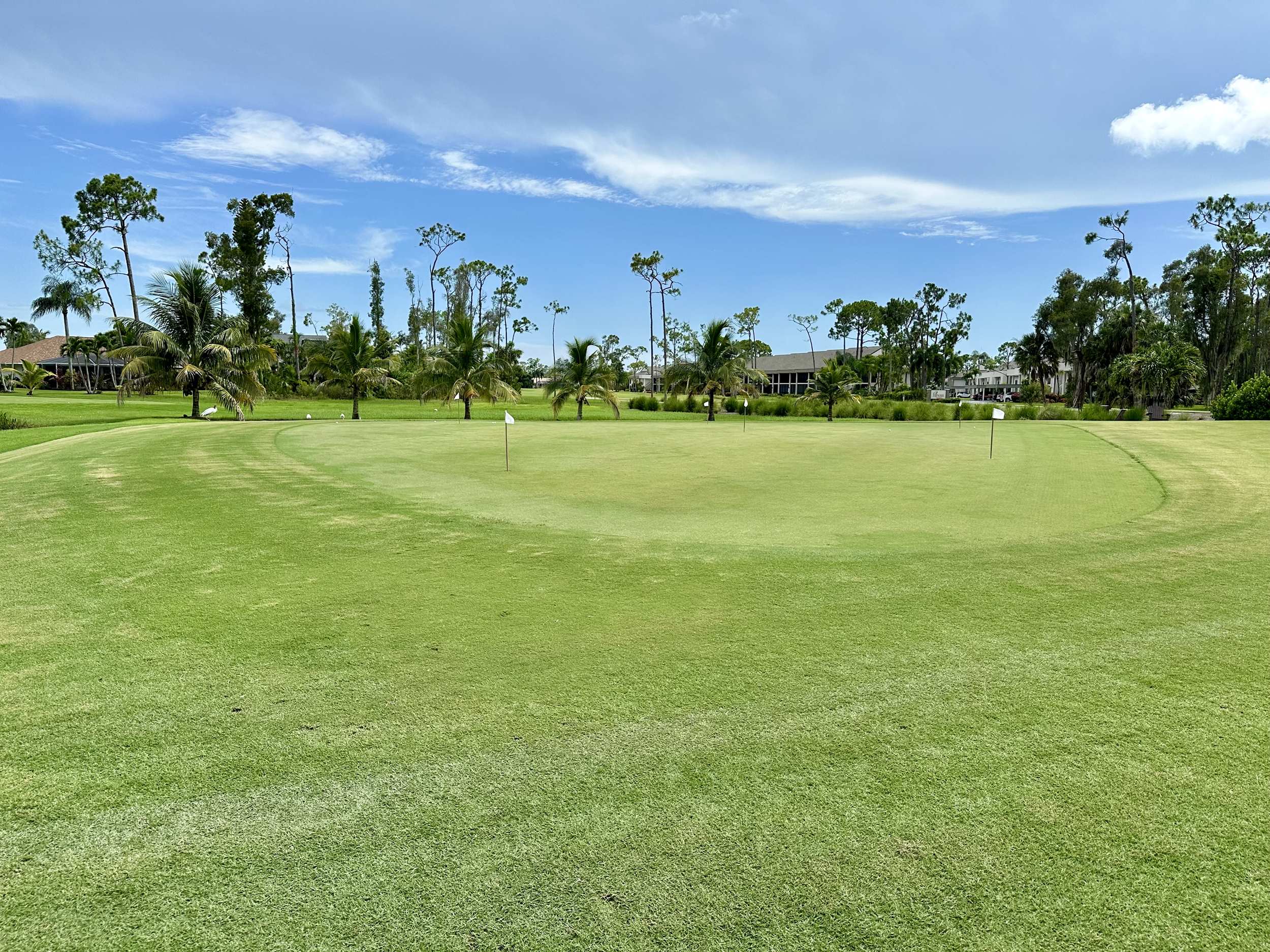 putting green