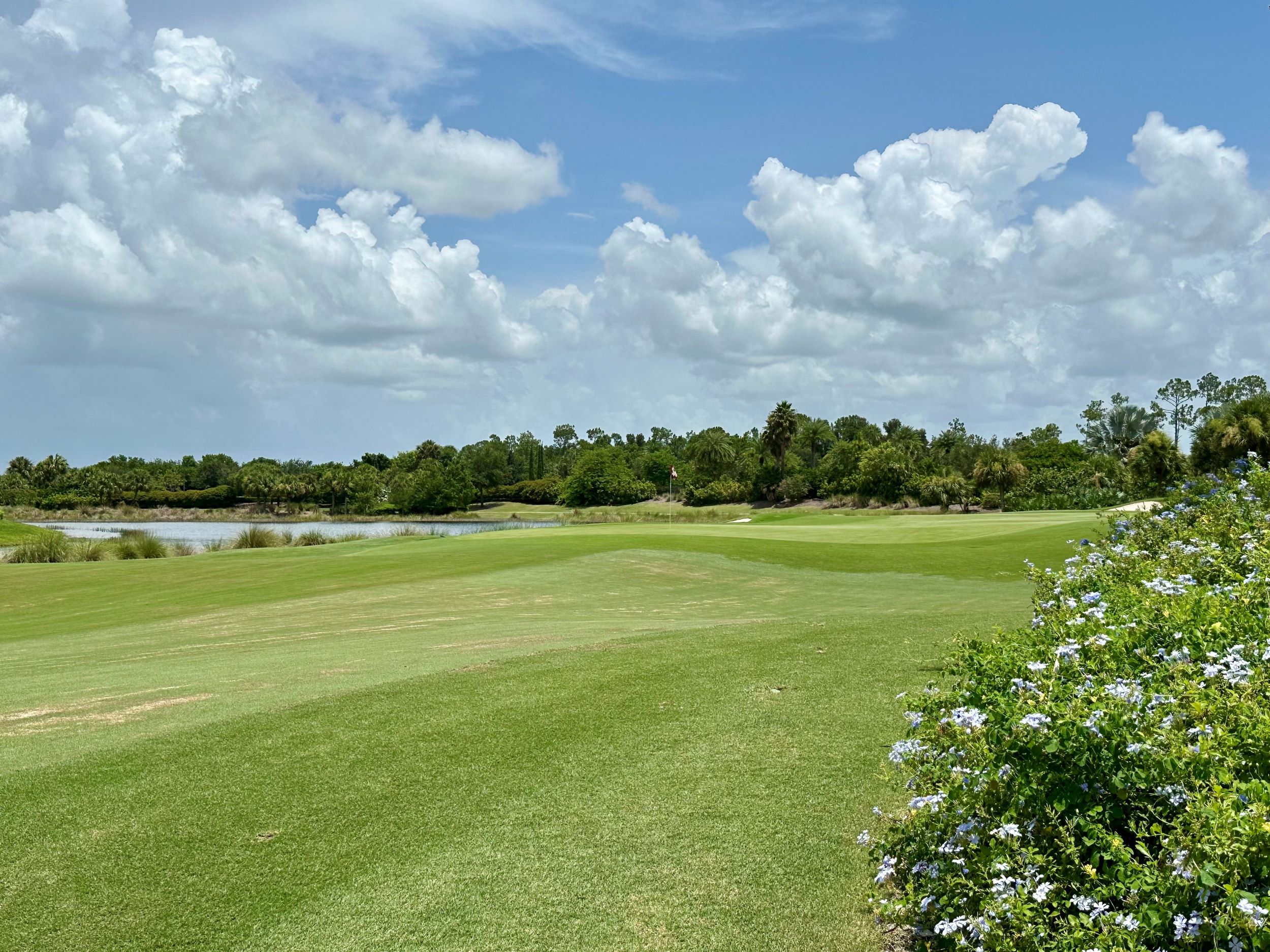 golf courses naples florida