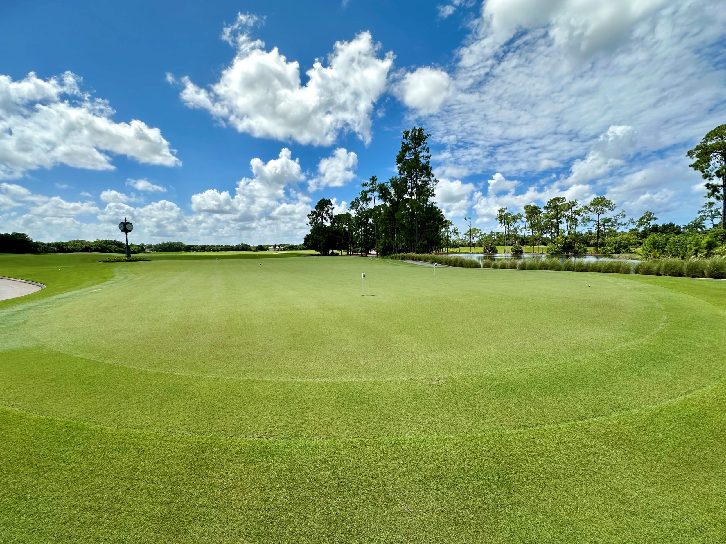 putting green