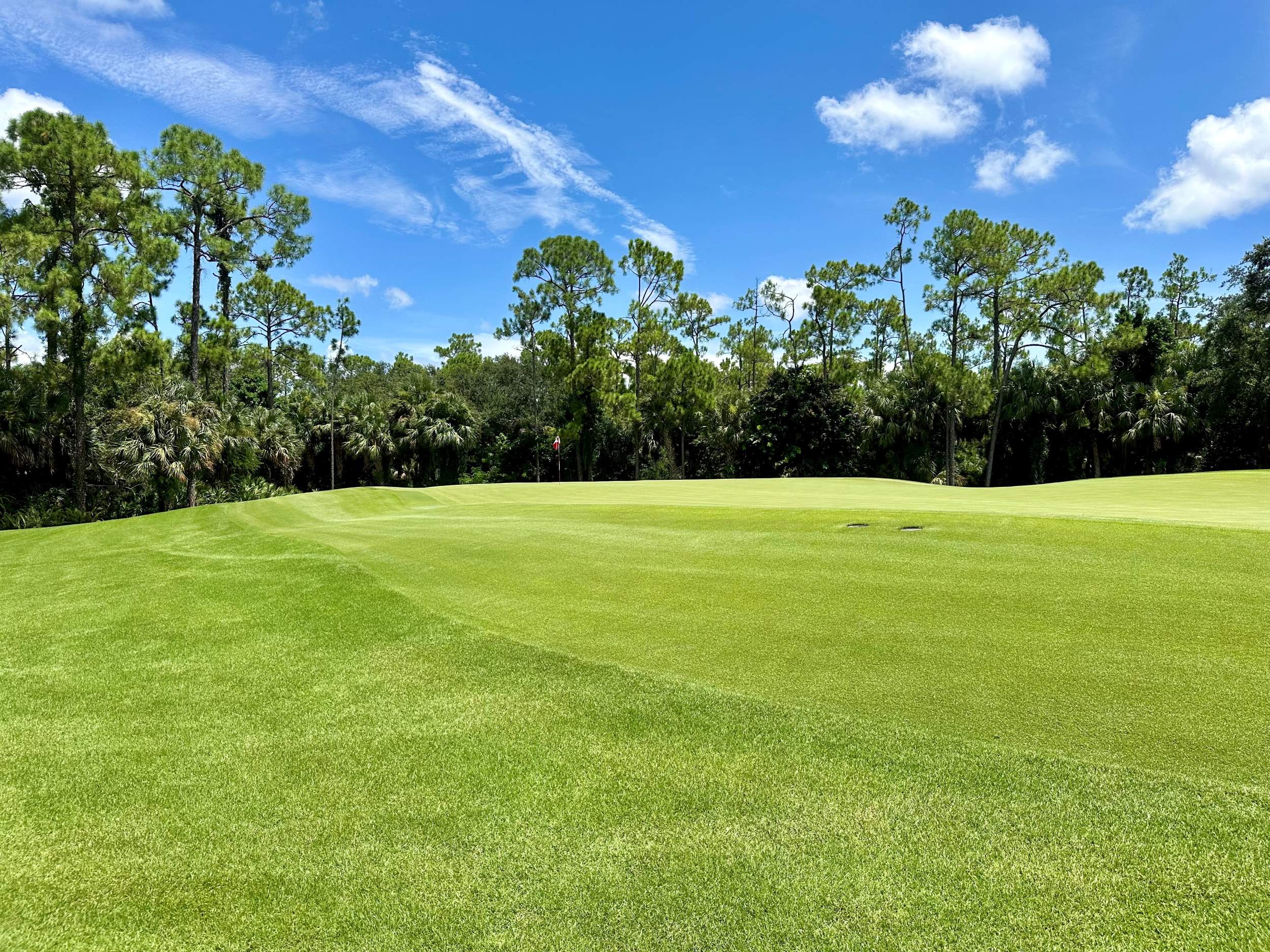 Naples Golf Community