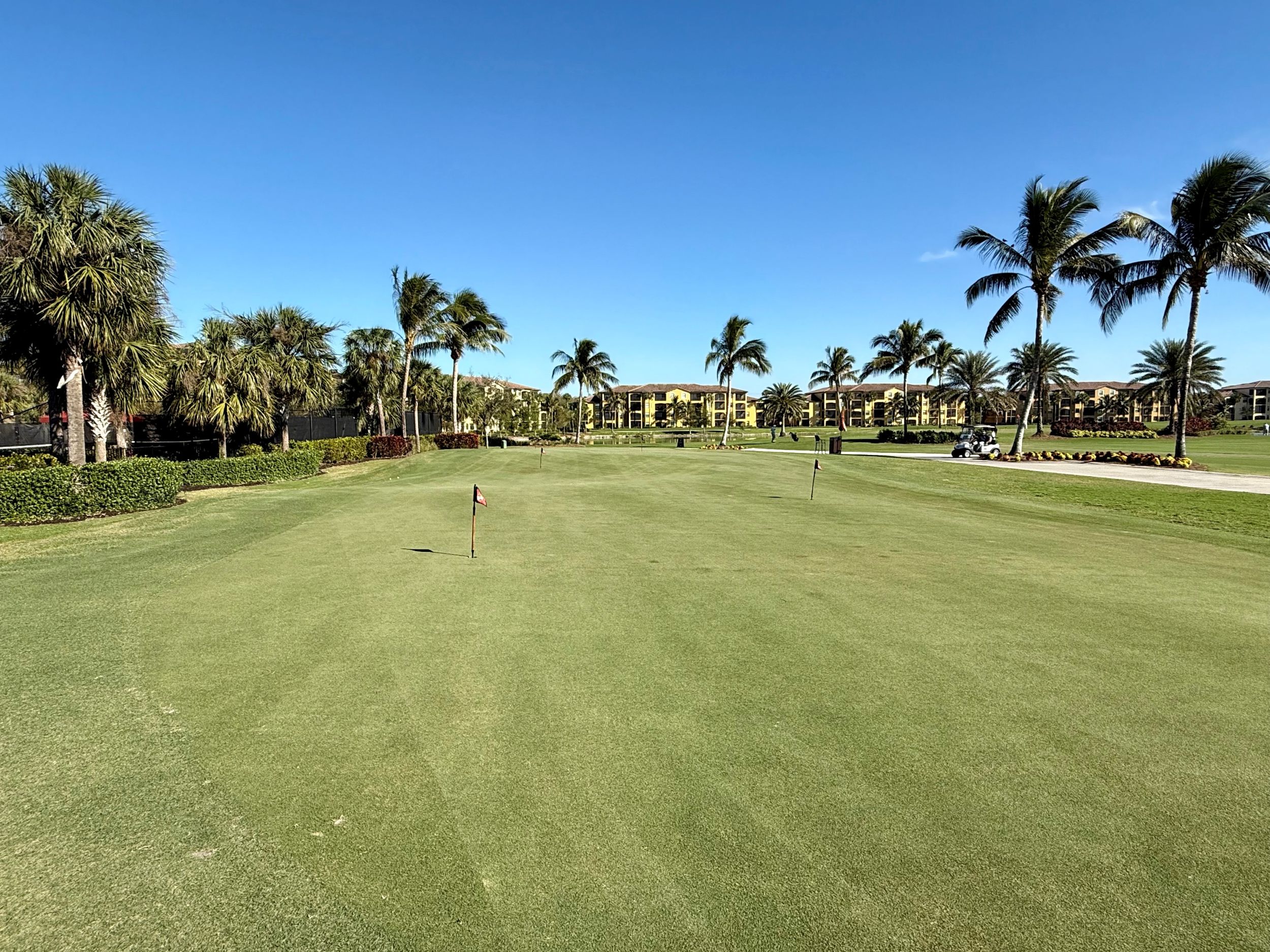 putting green