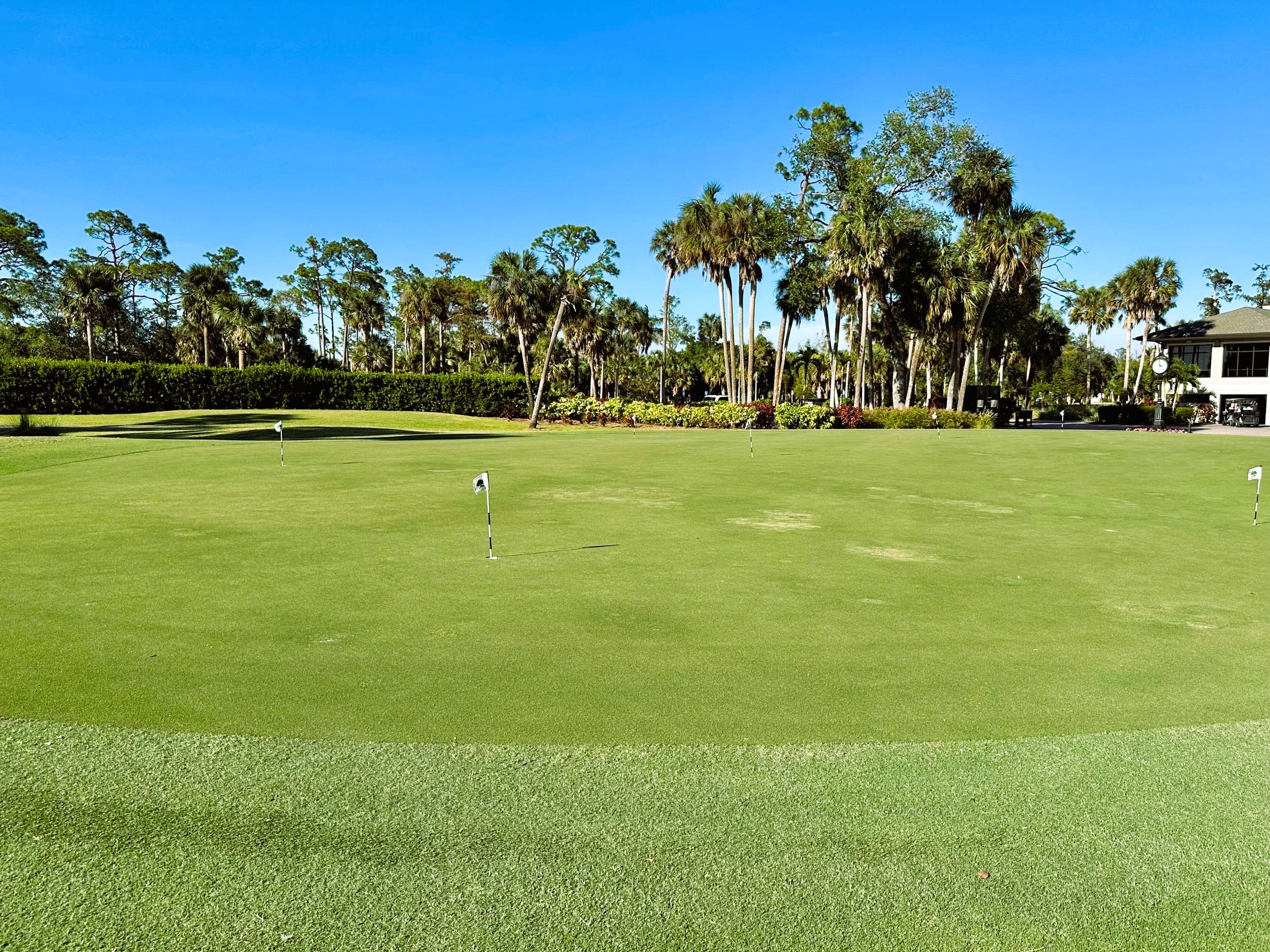 putting green