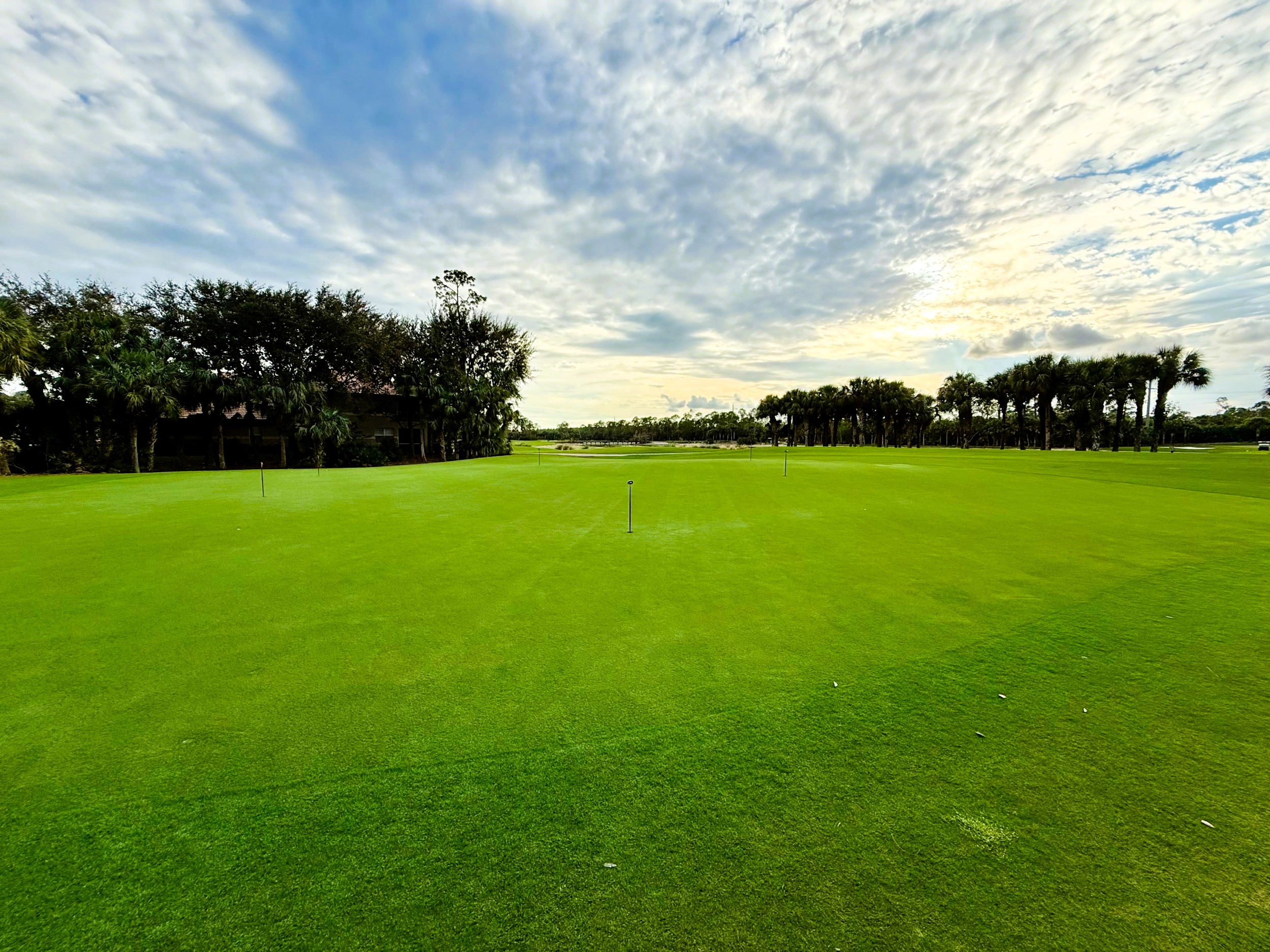 putting green