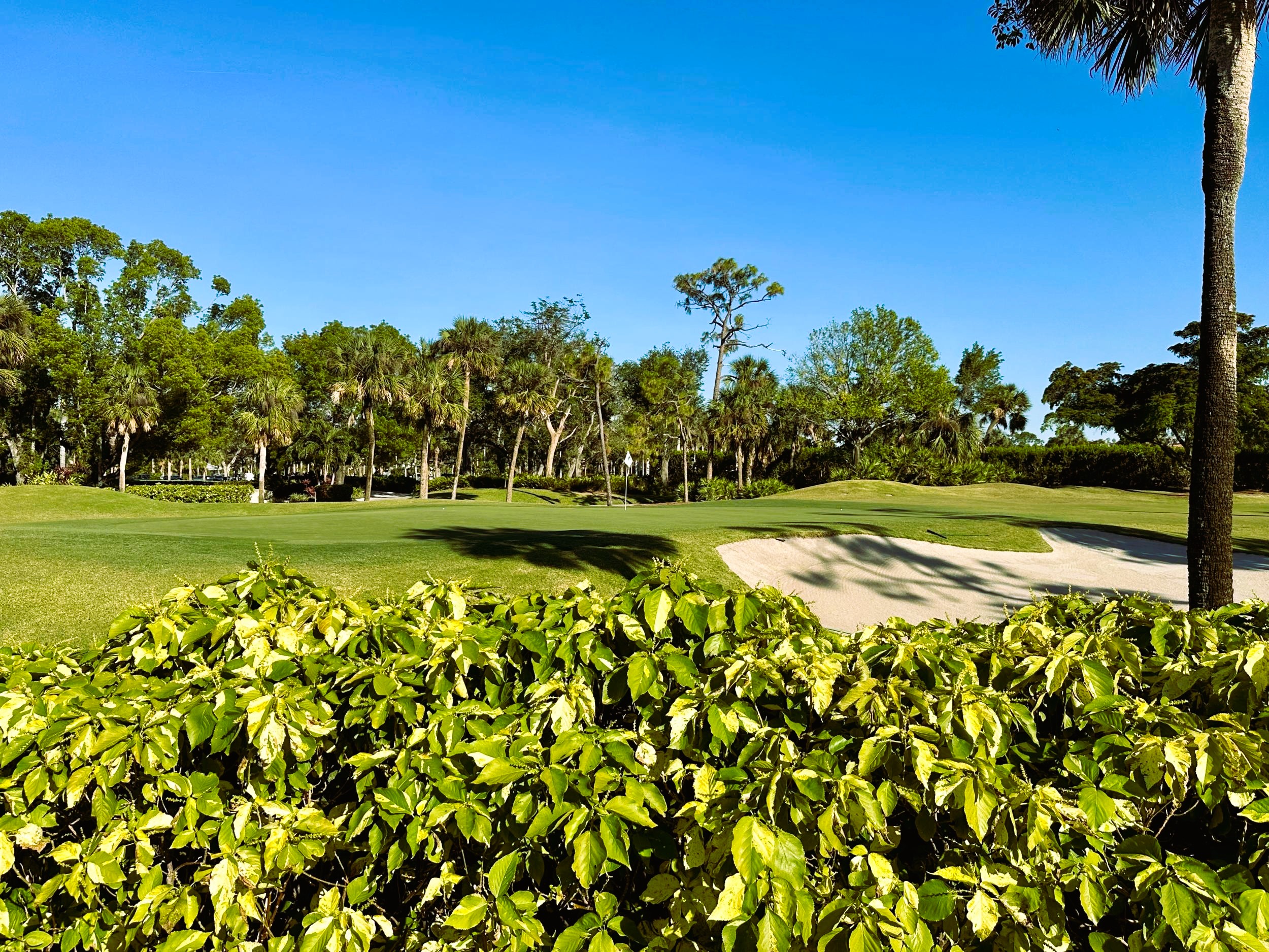 The Forest County Club Ft. Myers FL