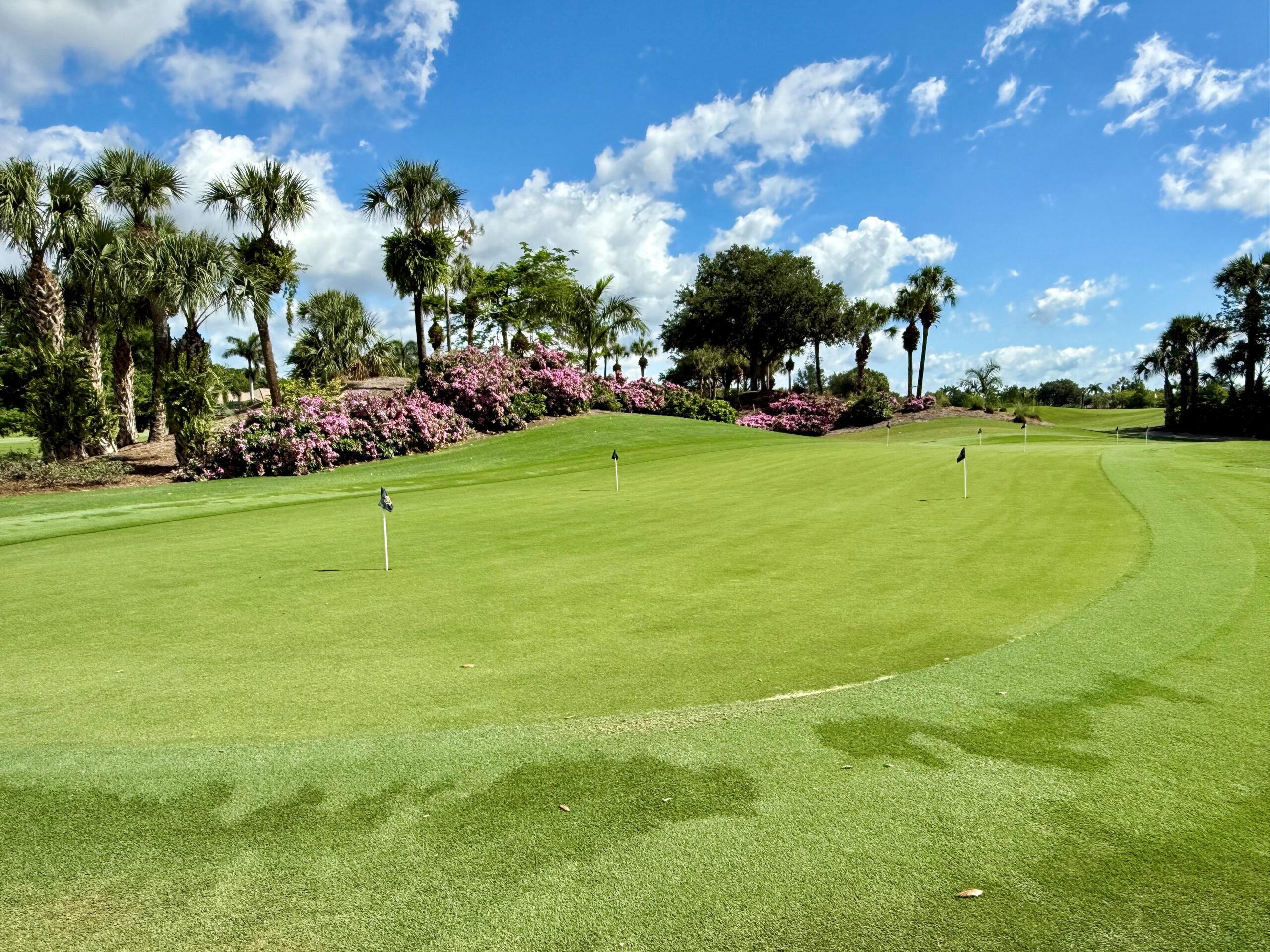 Putting Green