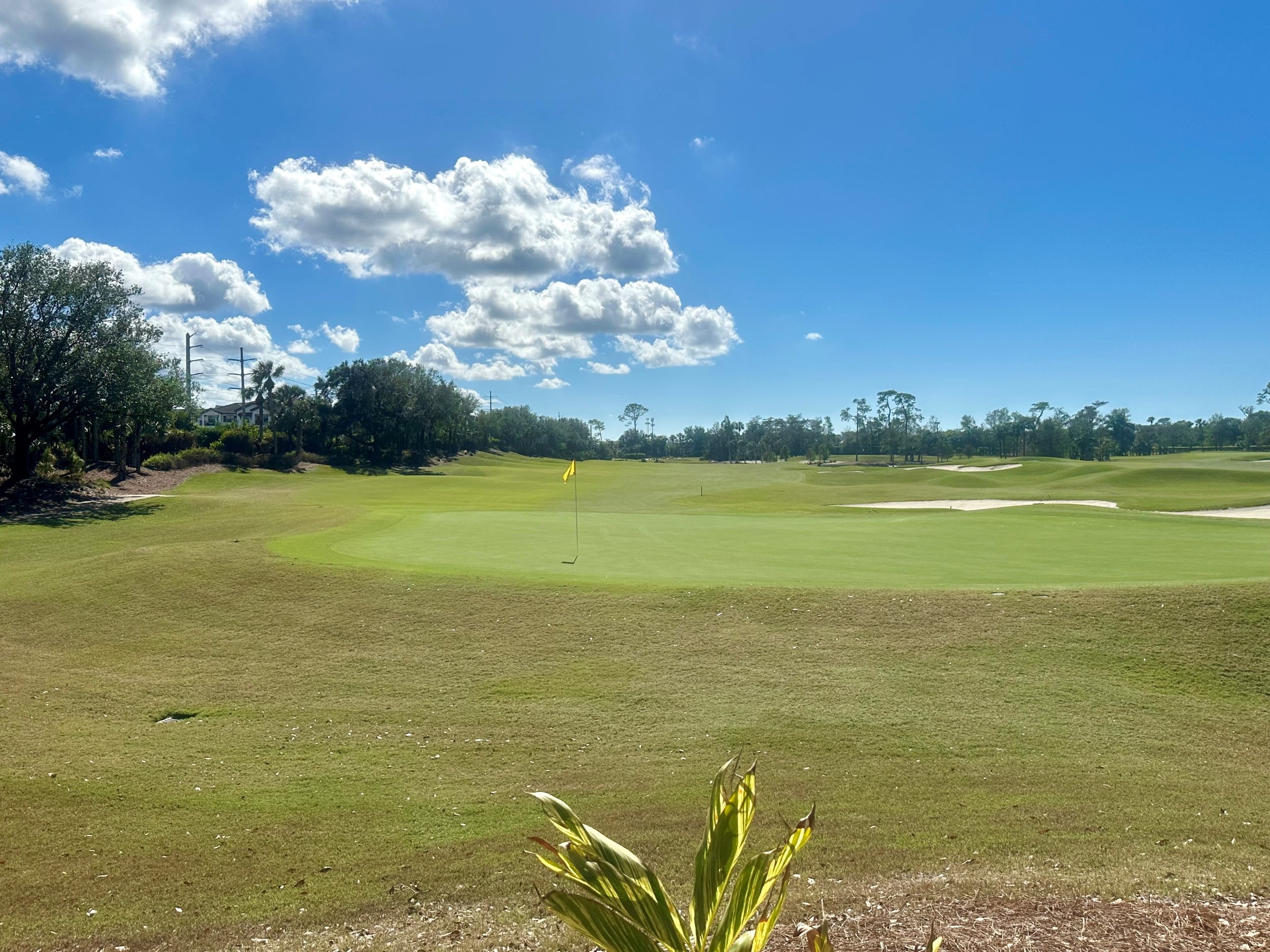 Southwest Florida Golf Courses