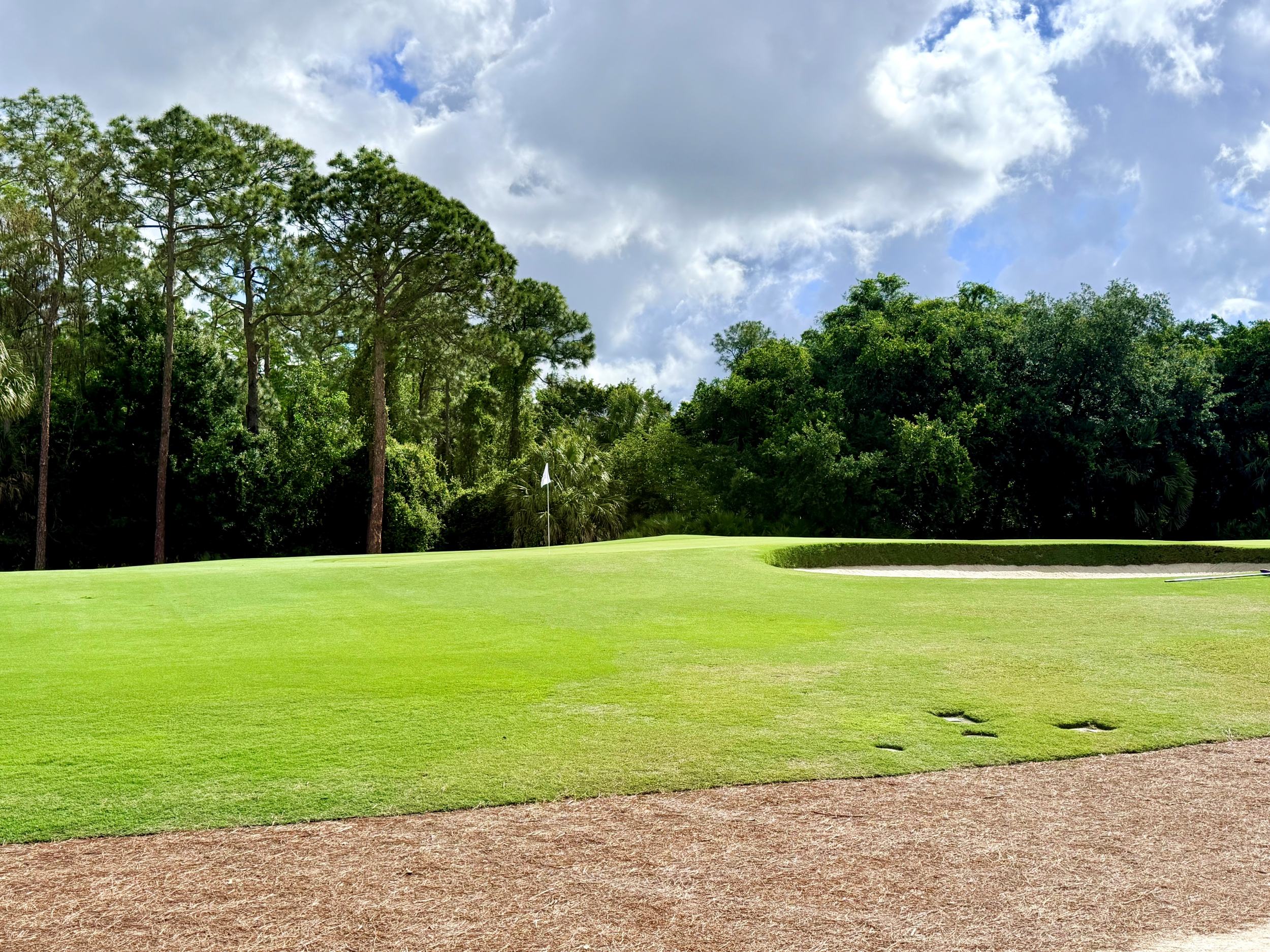 Luxury golf clubs