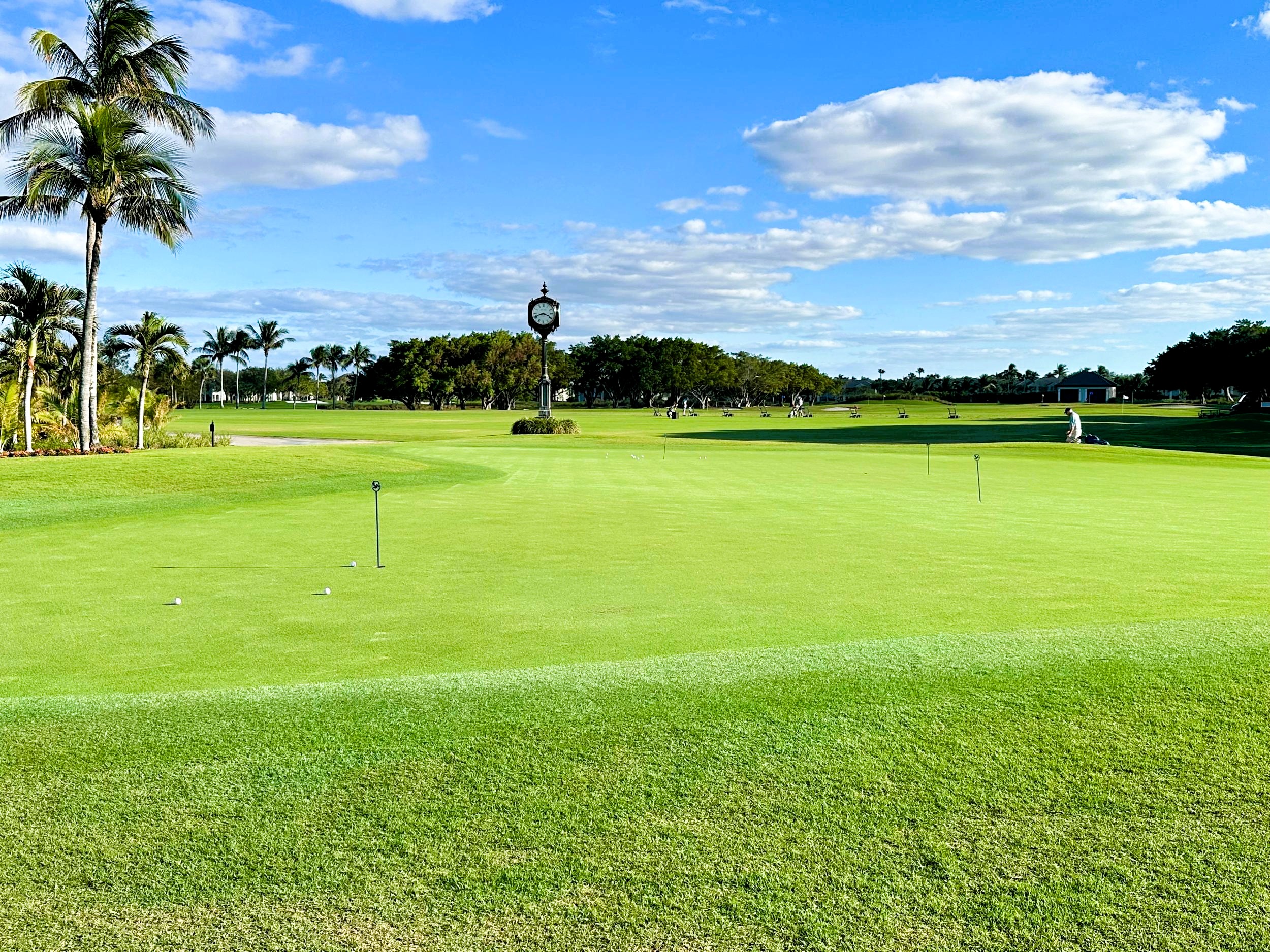 putting green