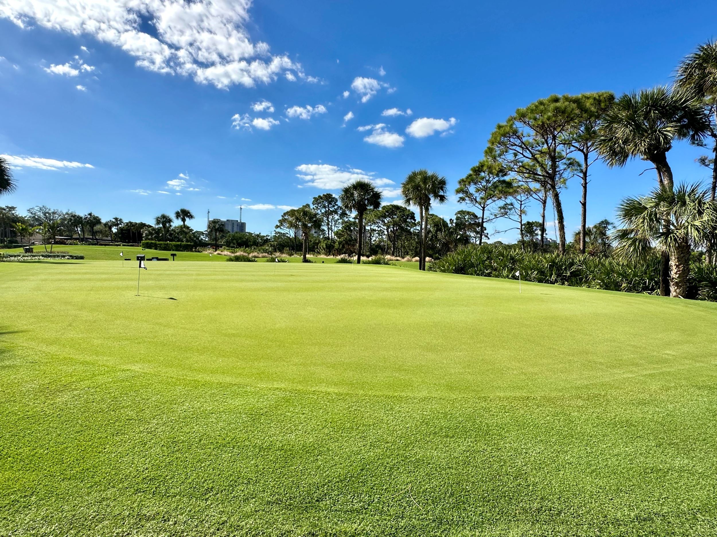 putting green