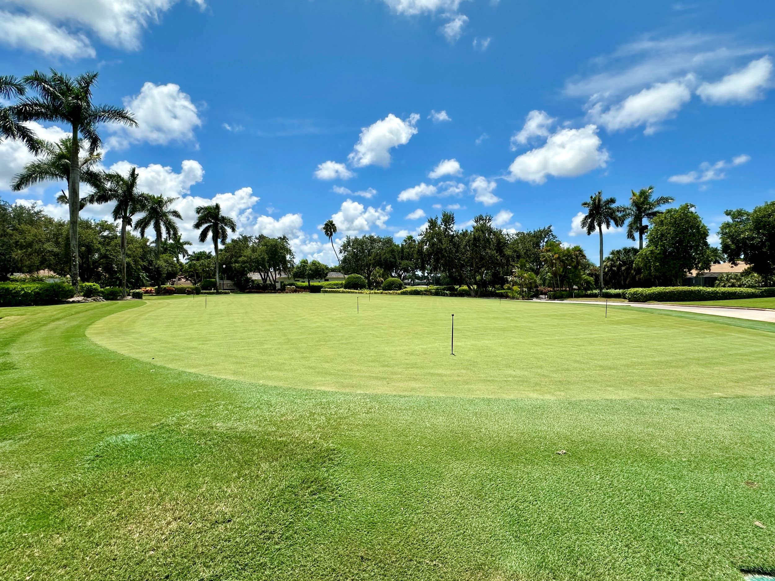 putting green