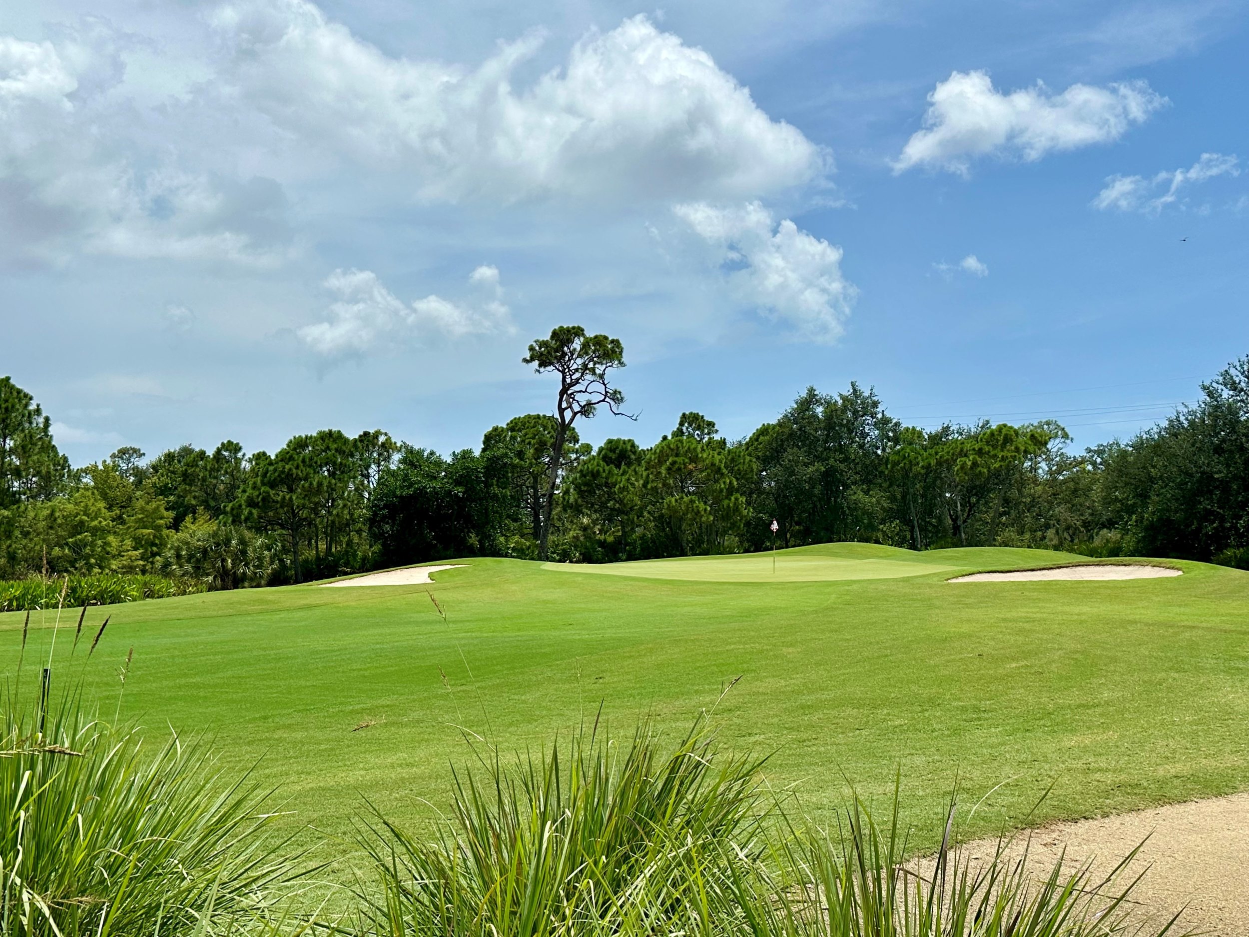 estero golf courses