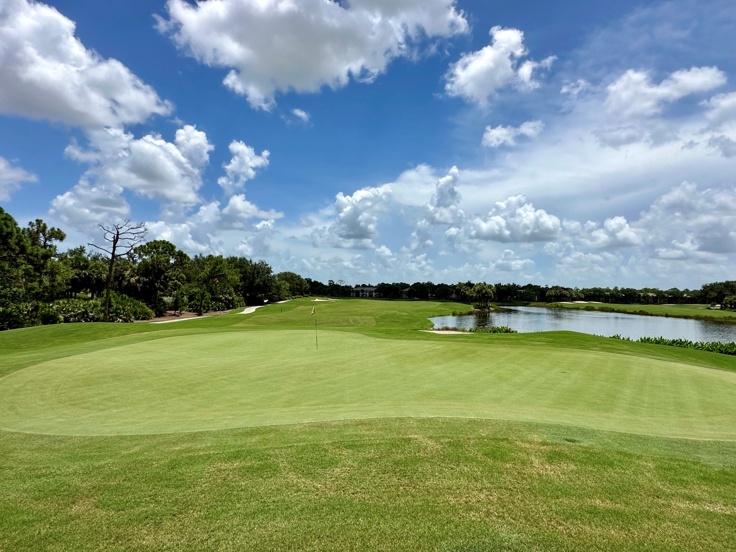 estero golf course