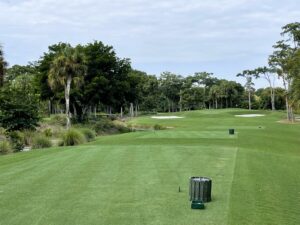 Royal Poinciana Golf Club - Naples Golf Homes Naples Golf Guy